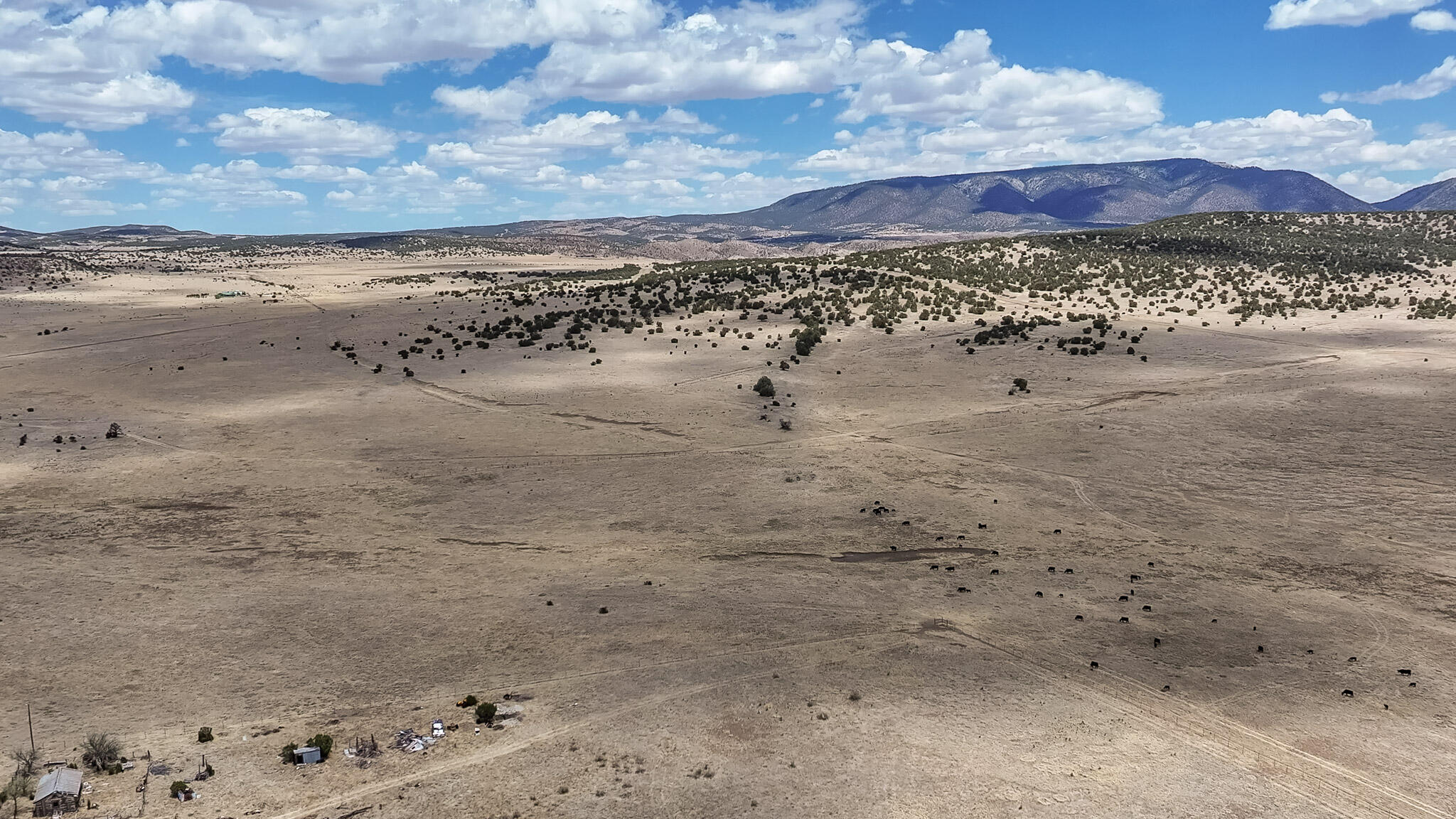 Photo 12 —  New Mexico 246