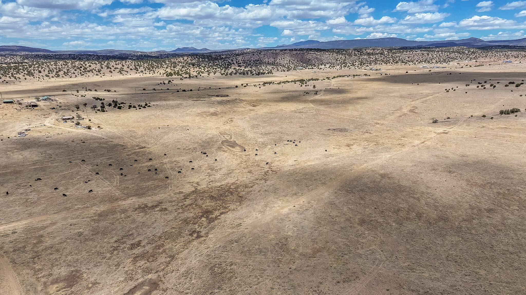 Photo 15 —  New Mexico 246