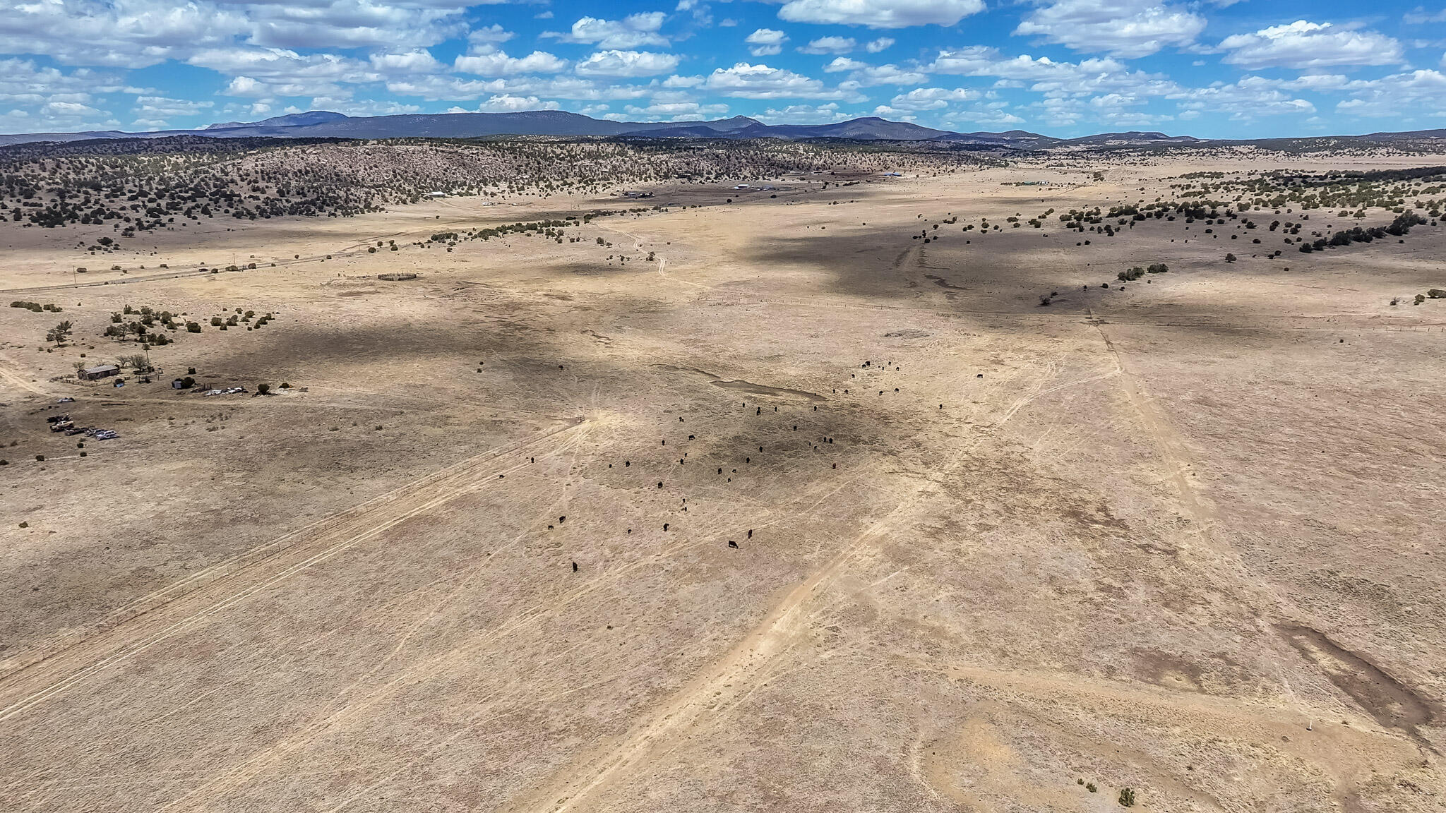 Photo 14 —  New Mexico 246