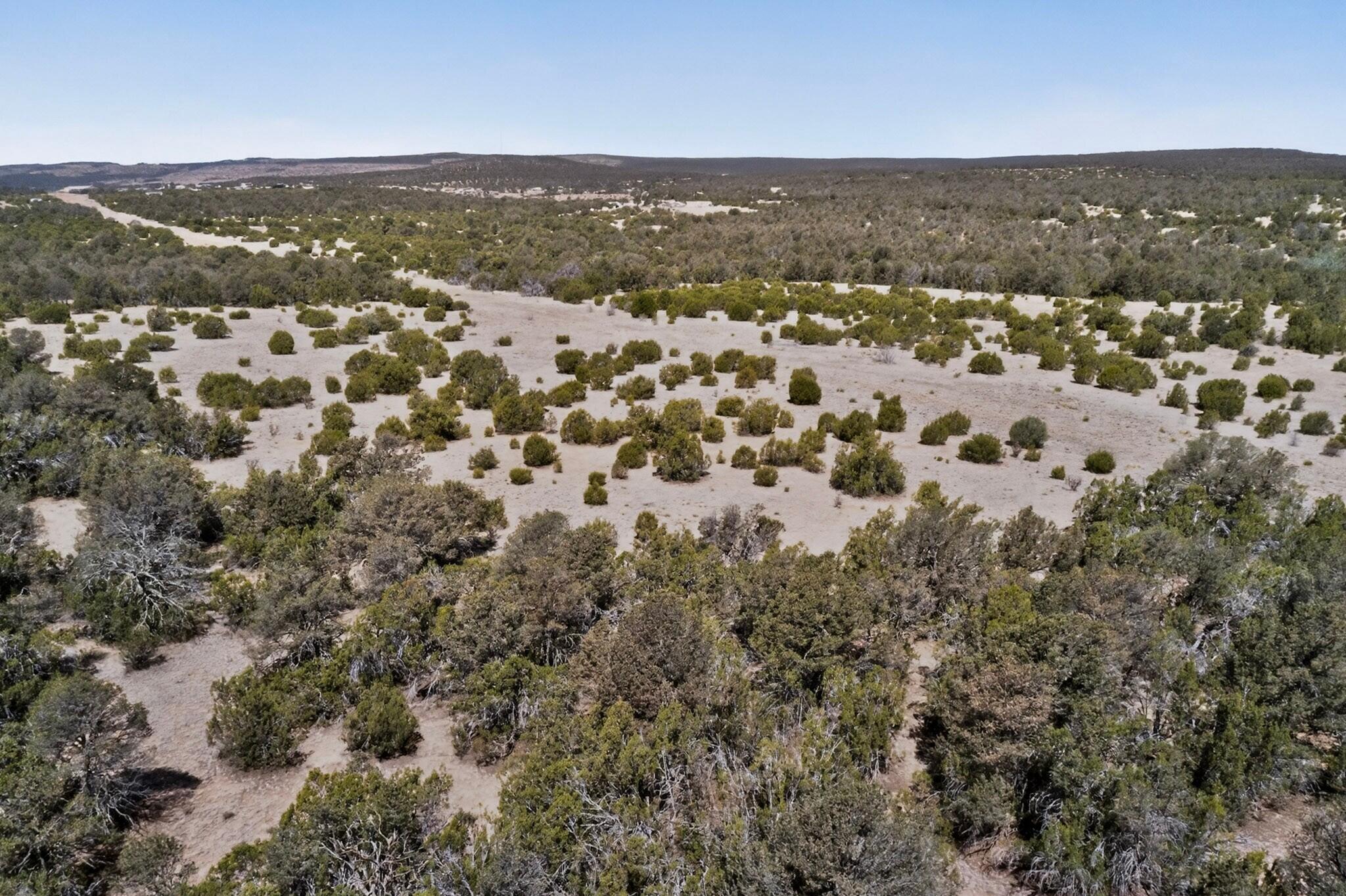 Photo 2 — N/A Old Chilili Rd.