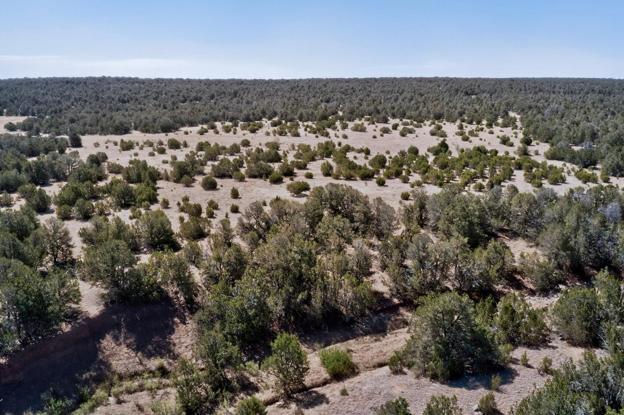 Photo 3 — N/A Old Chilili Rd.