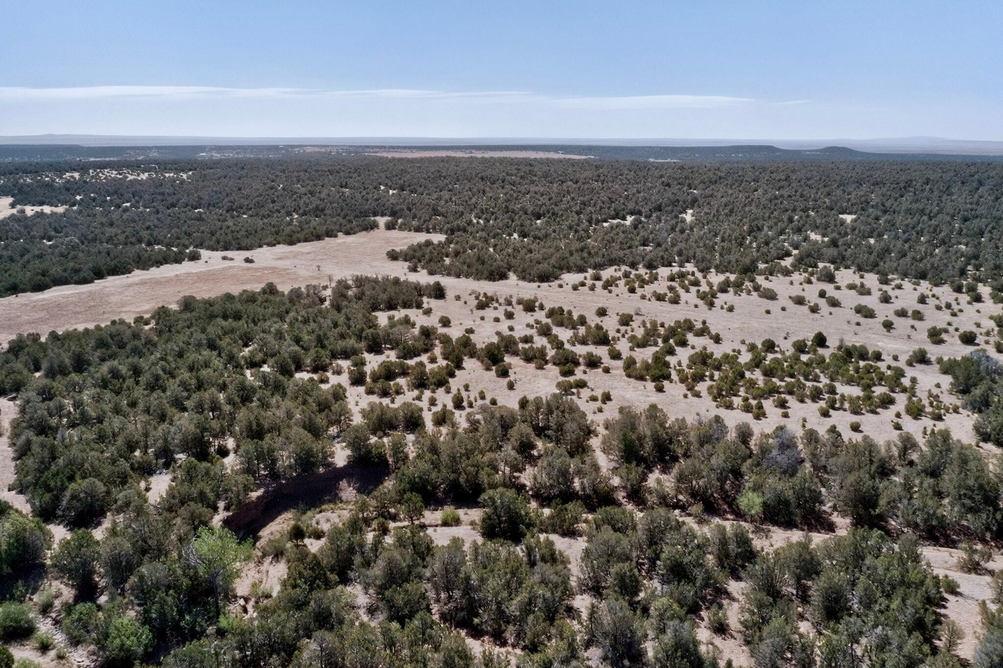 Photo 8 — N/A Old Chilili Rd.