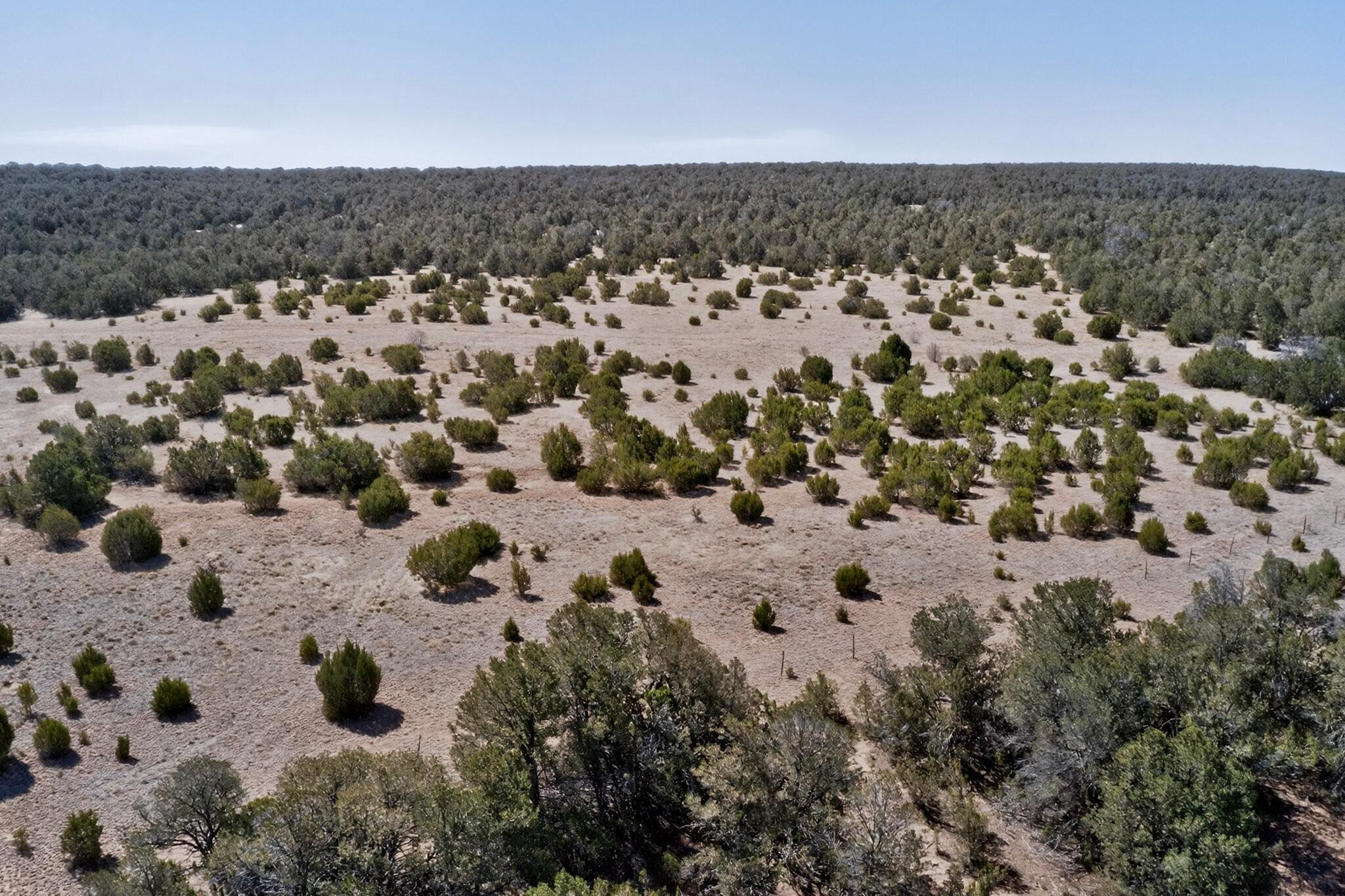 Photo 9 — N/A Old Chilili Rd.