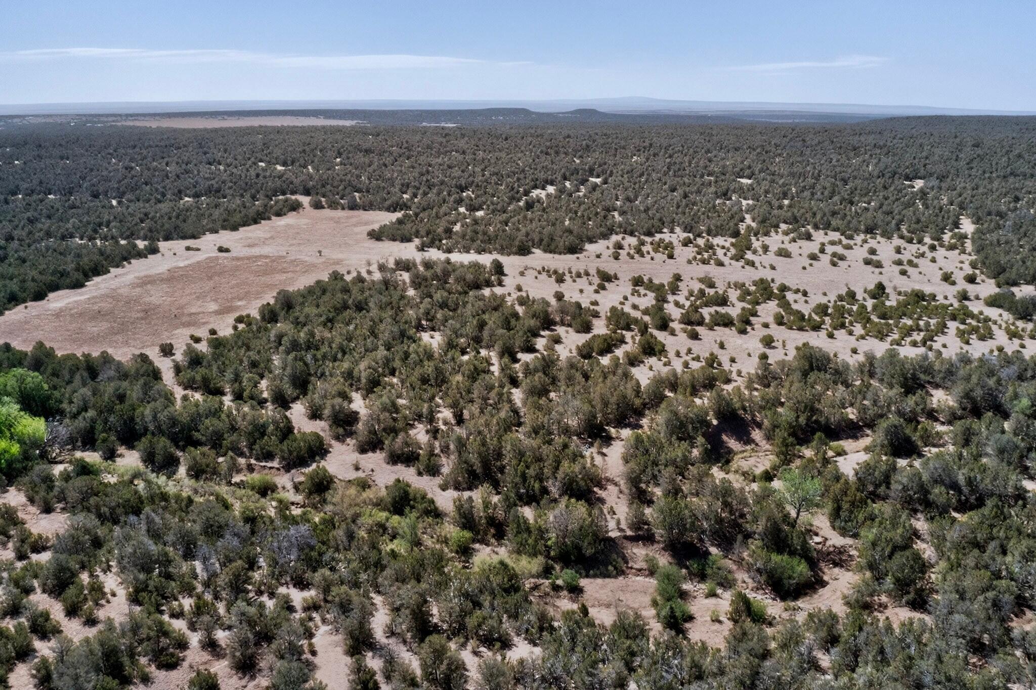 Photo 12 — N/A Old Chilili Rd.