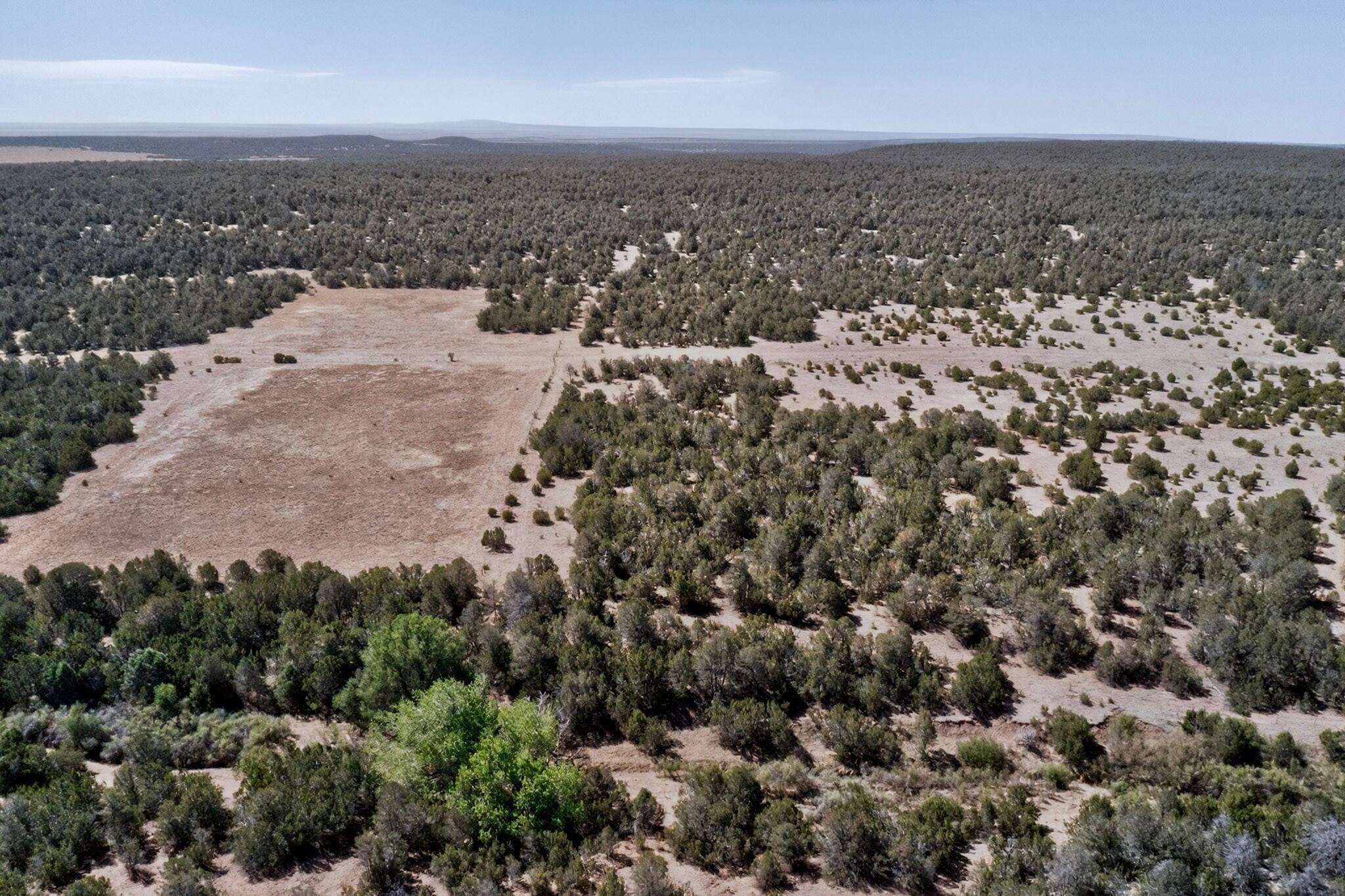 Photo 13 — N/A Old Chilili Rd.