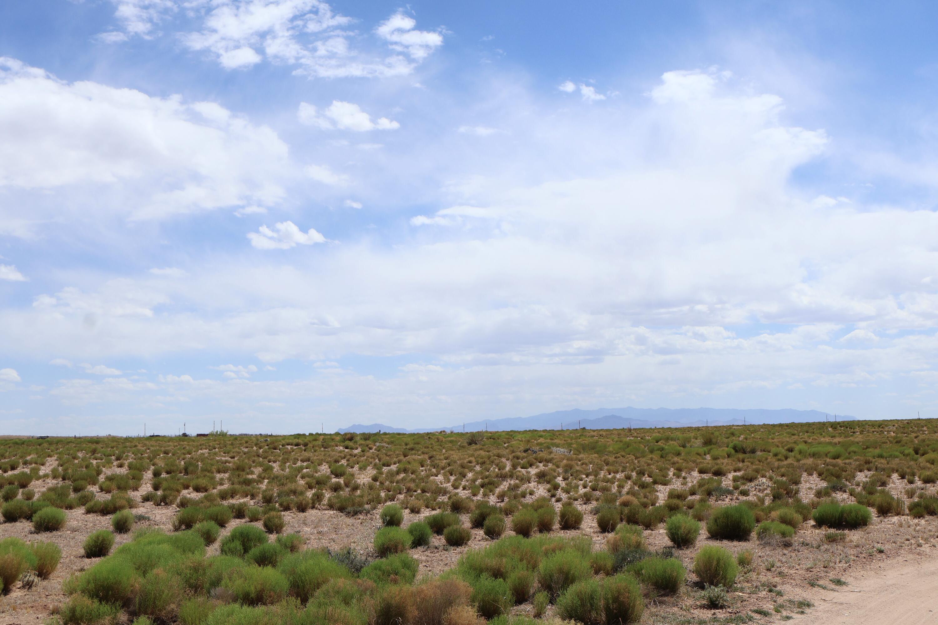 Photo 9 — Lot 7 & 8 Rio Grande Estates