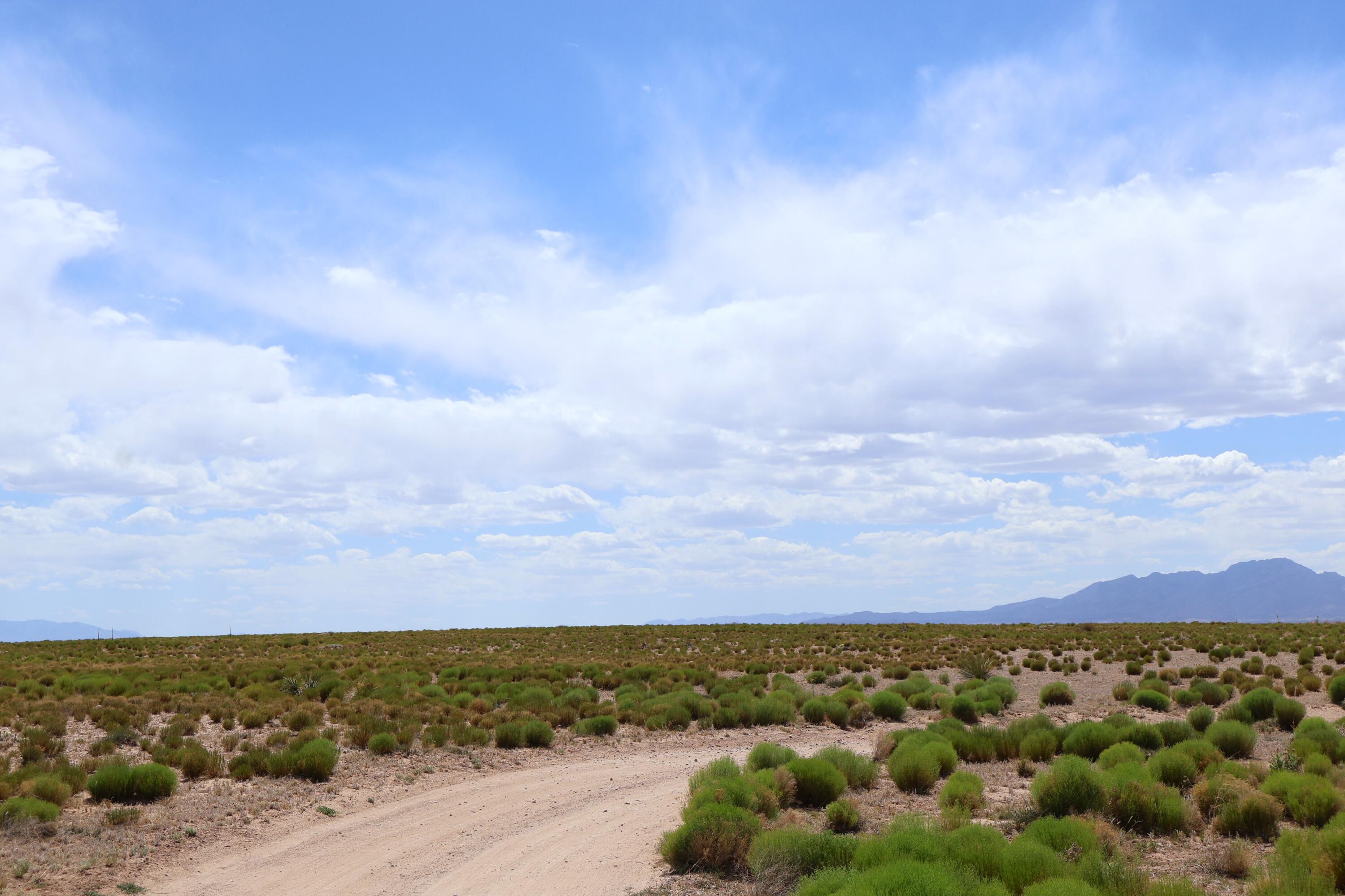Photo 10 — Lot 7 & 8 Rio Grande Estates