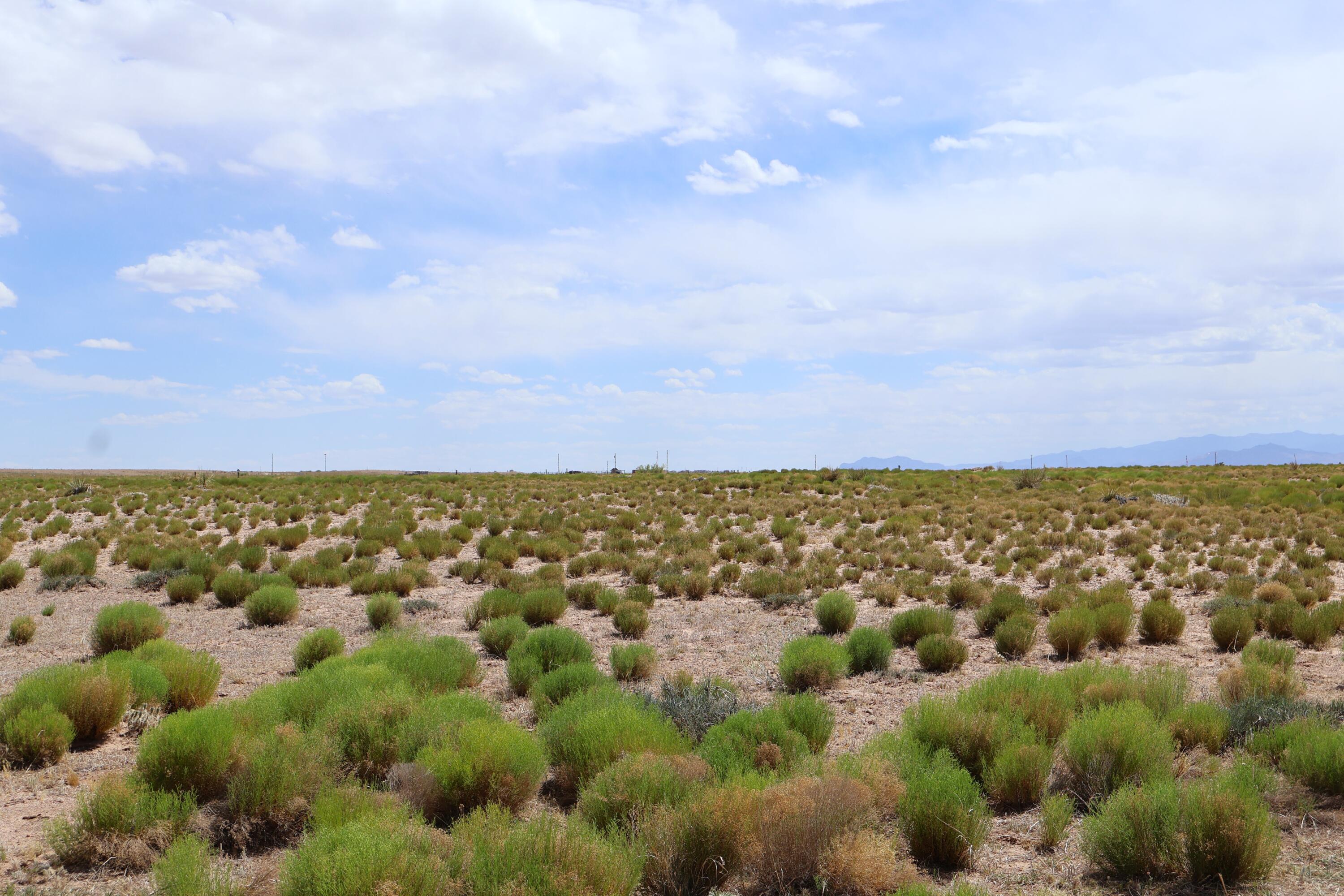 Photo 11 — Lot 7 & 8 Rio Grande Estates