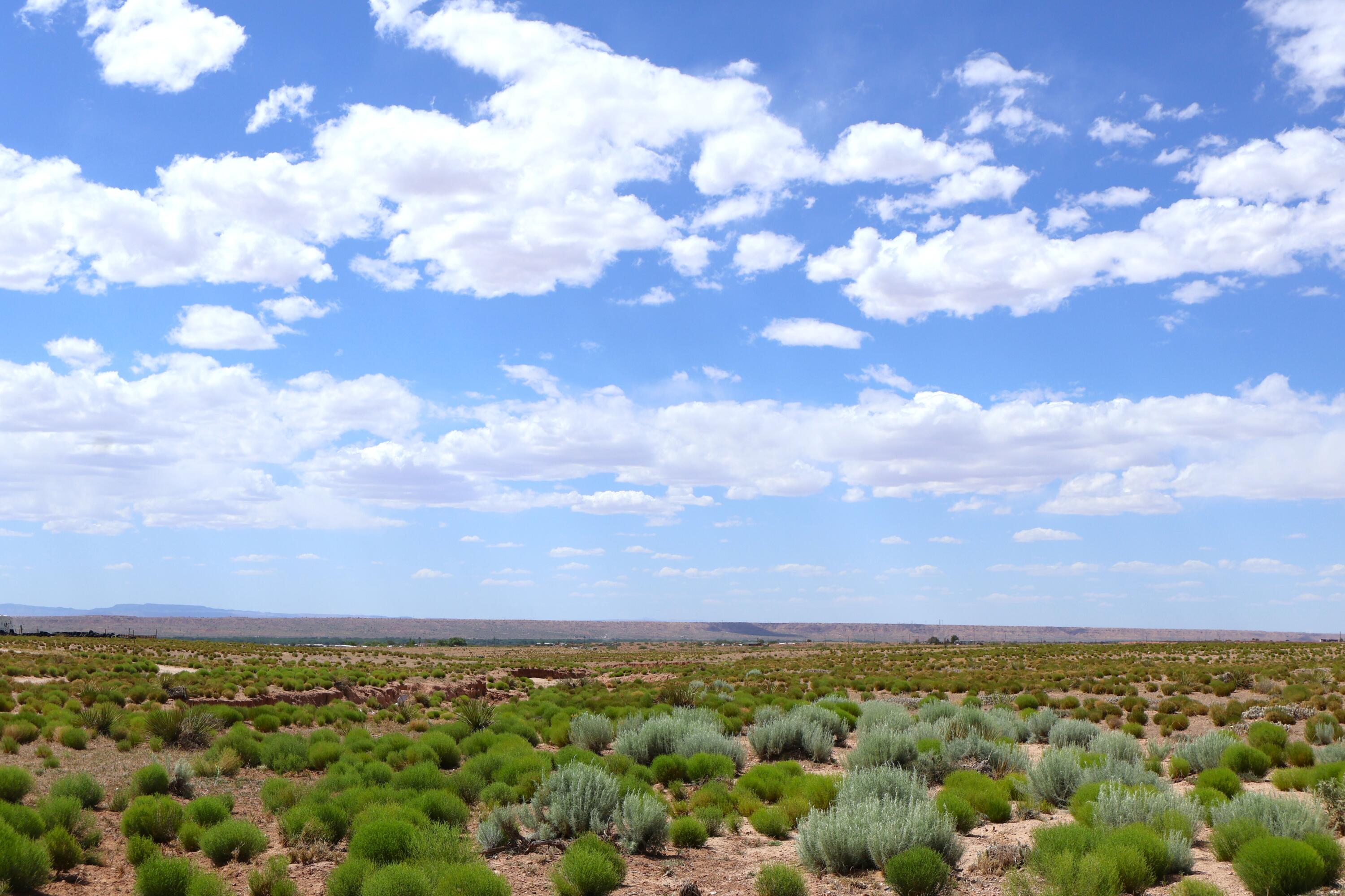 Photo 12 — Lot 7 & 8 Rio Grande Estates