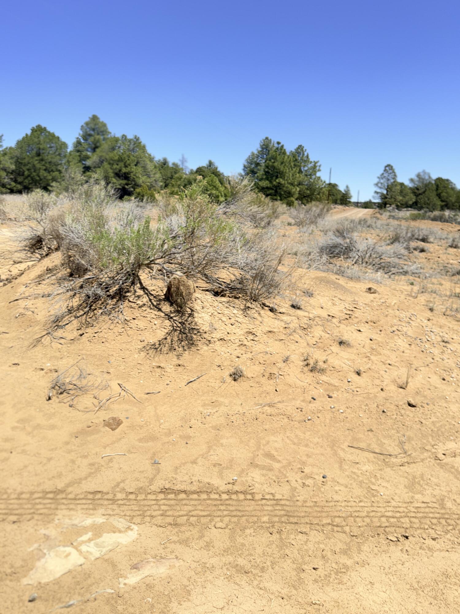 Photo 19 — 994 Wild Horse Ranch Road