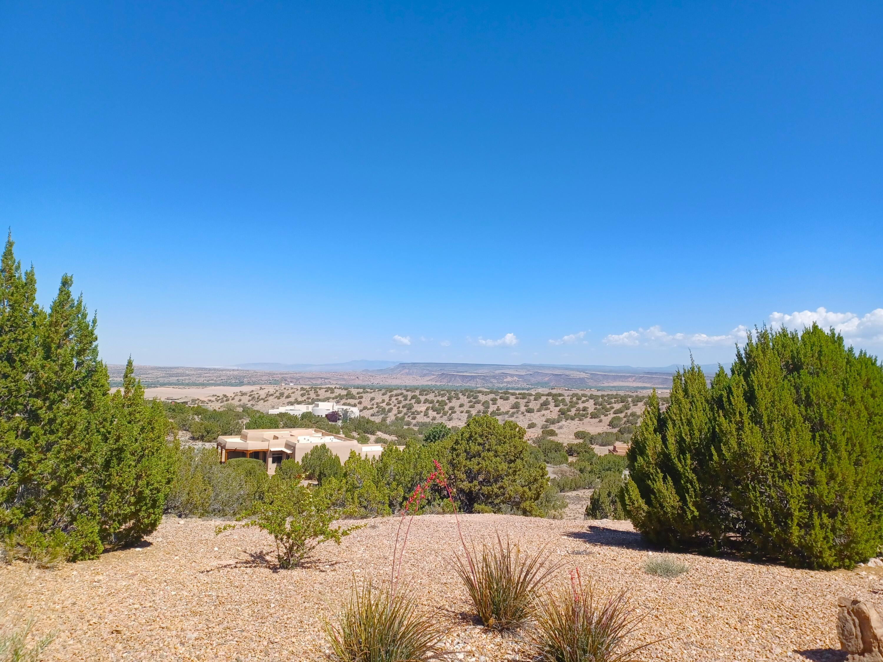 Photo 3 —  Palomino Road