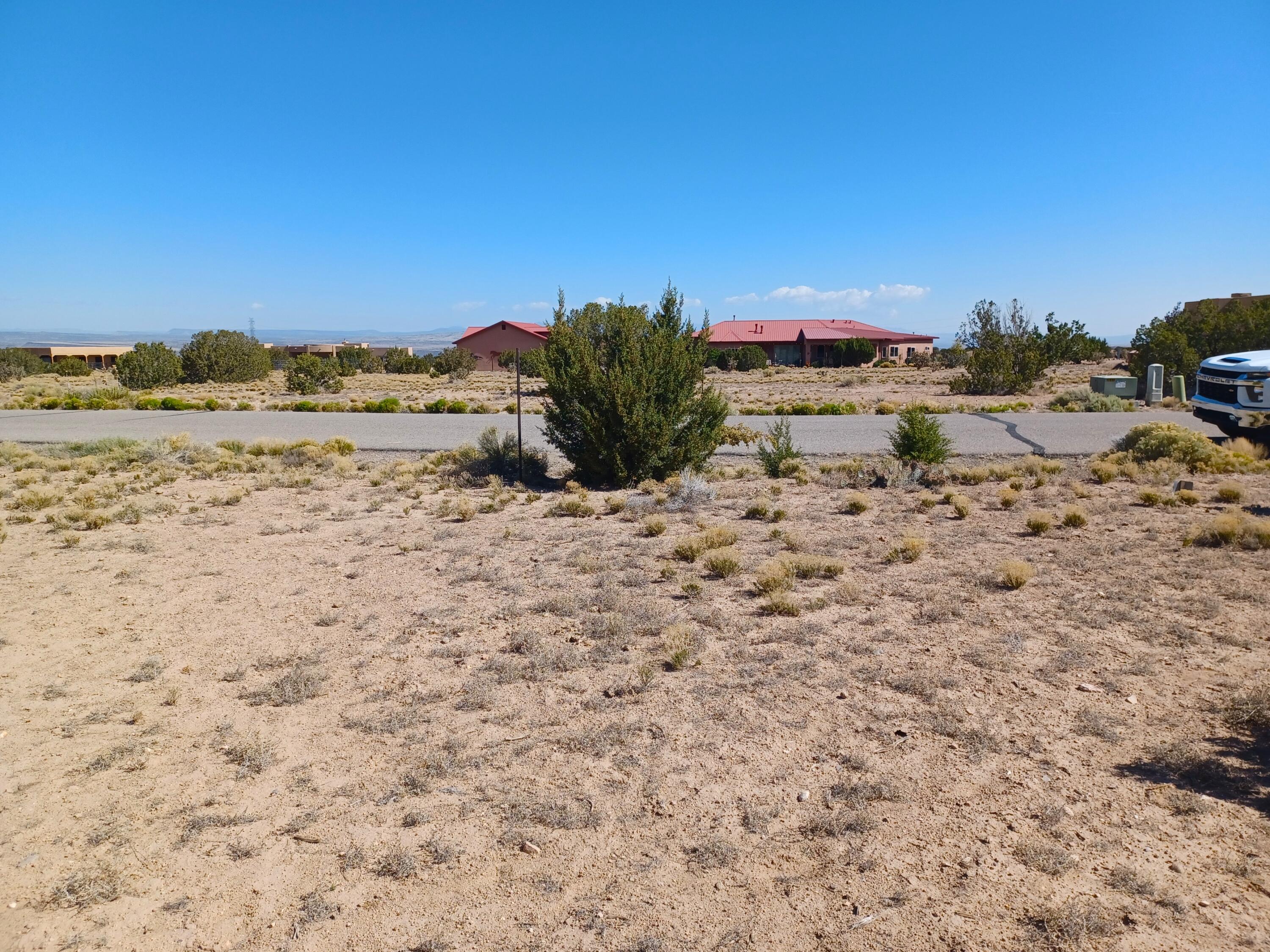 Photo 11 —  Palomino Road
