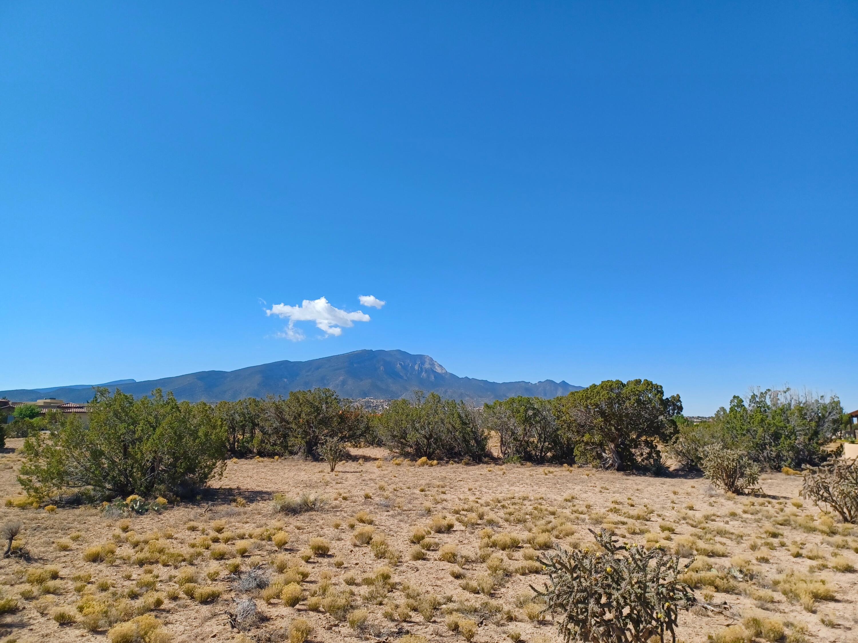 Photo 10 —  Palomino Road