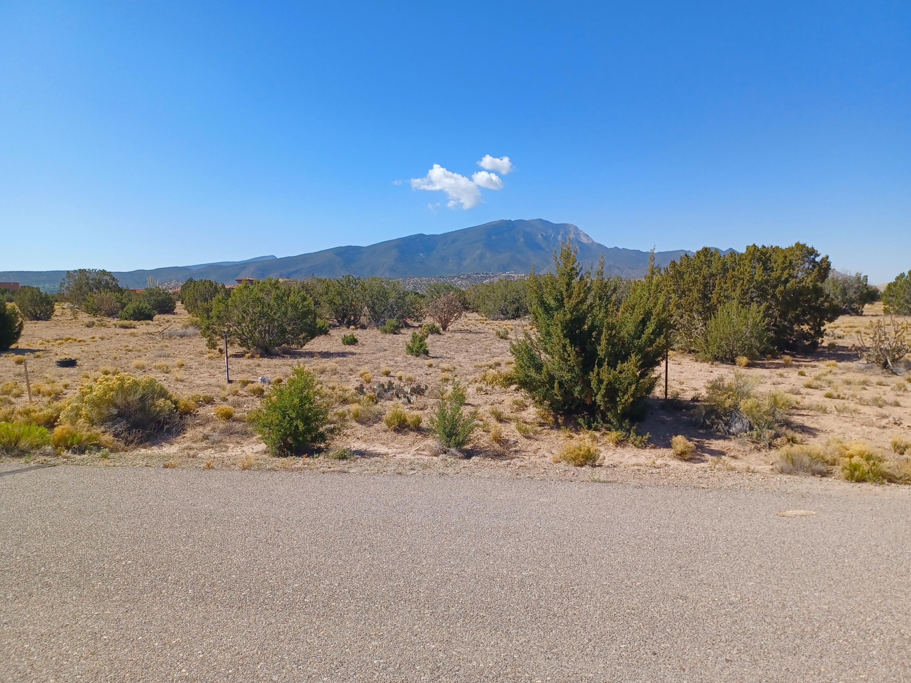 Photo 9 —  Palomino Road