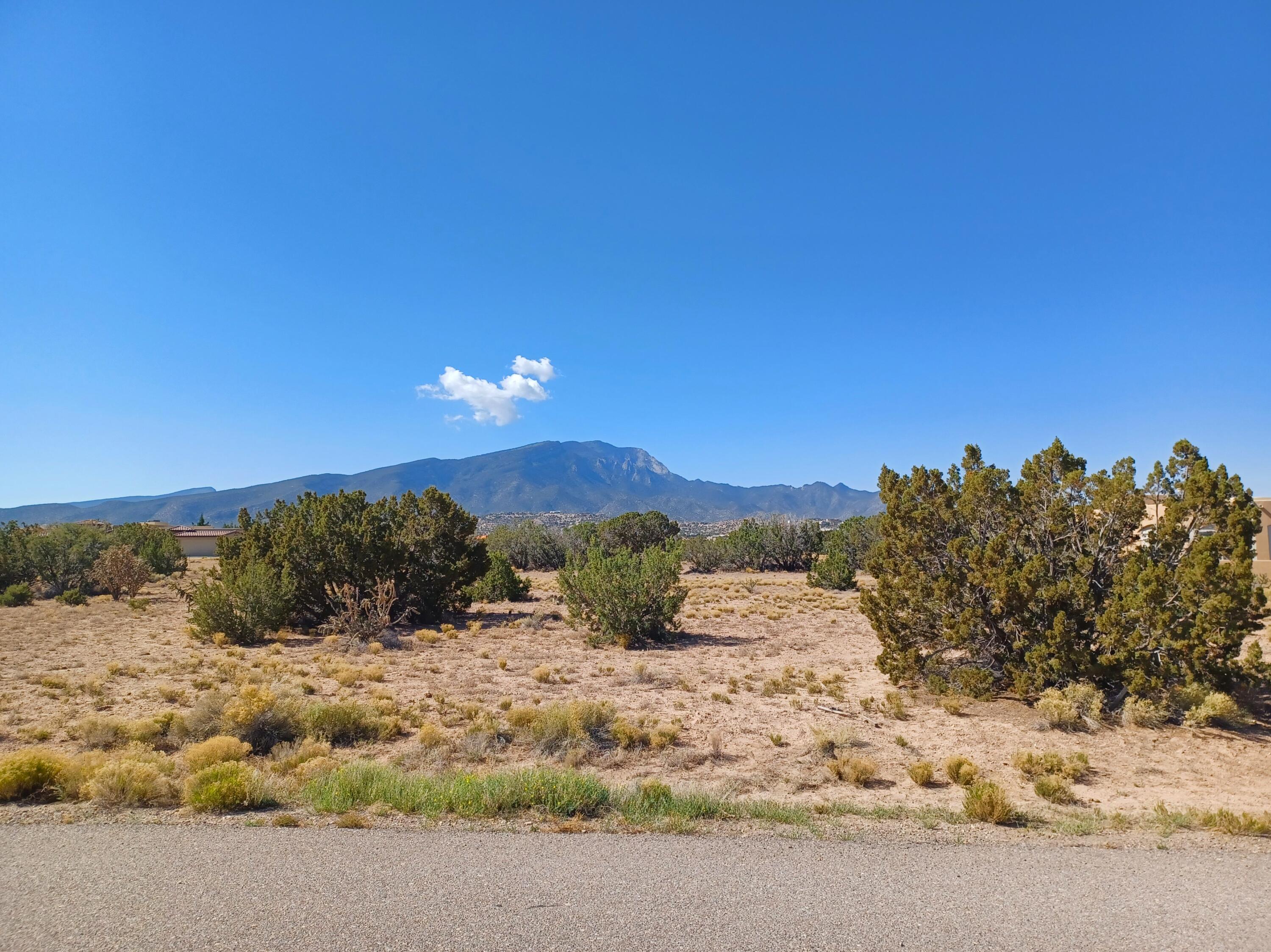 Photo 8 —  Palomino Road