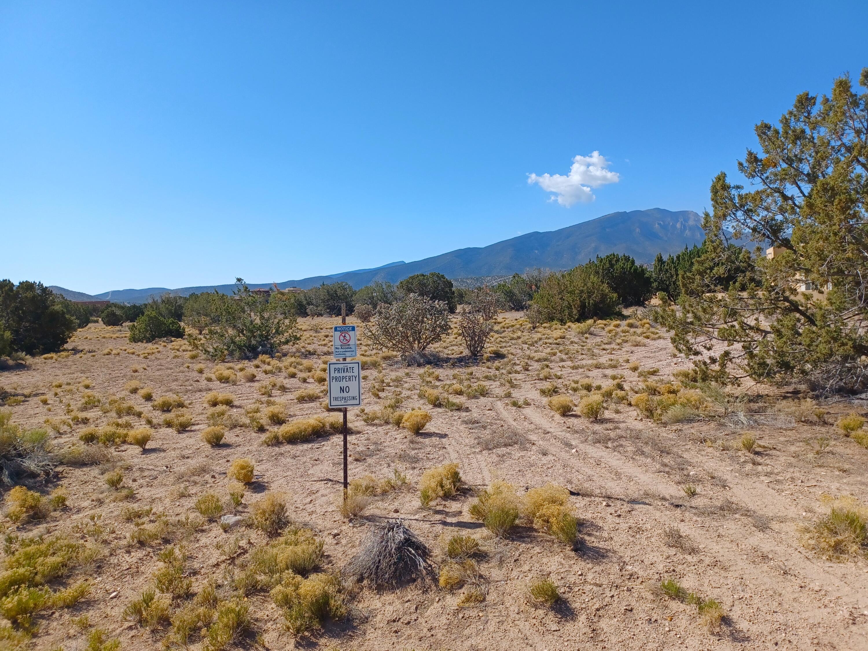Photo 7 —  Palomino Road
