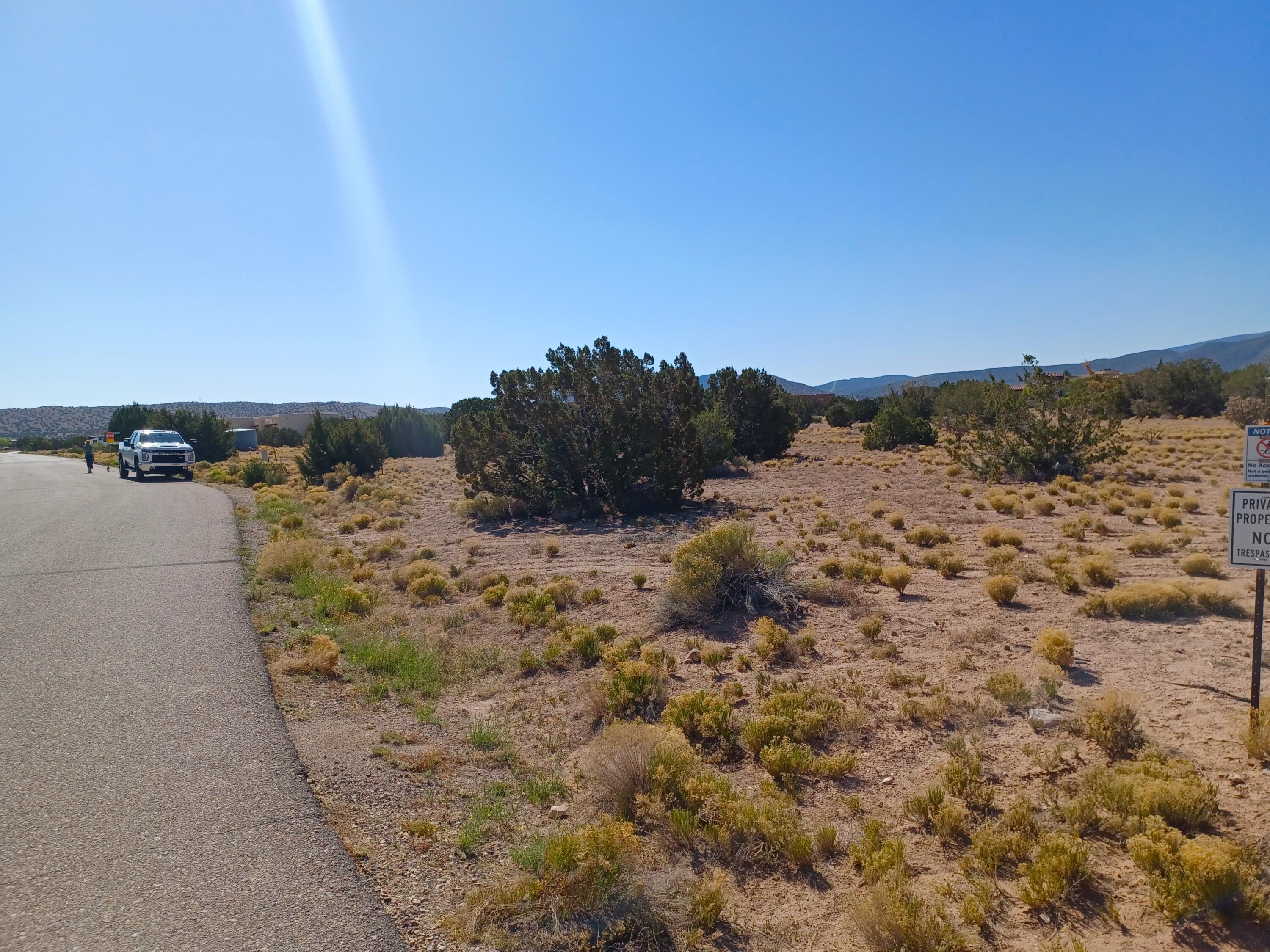 Photo 6 —  Palomino Road