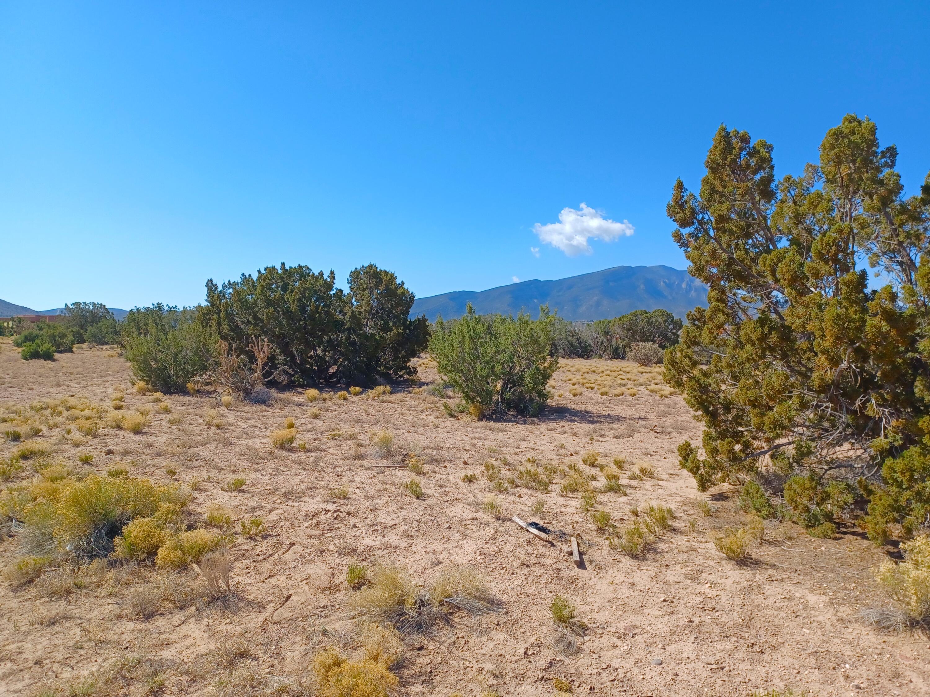 Photo 5 —  Palomino Road