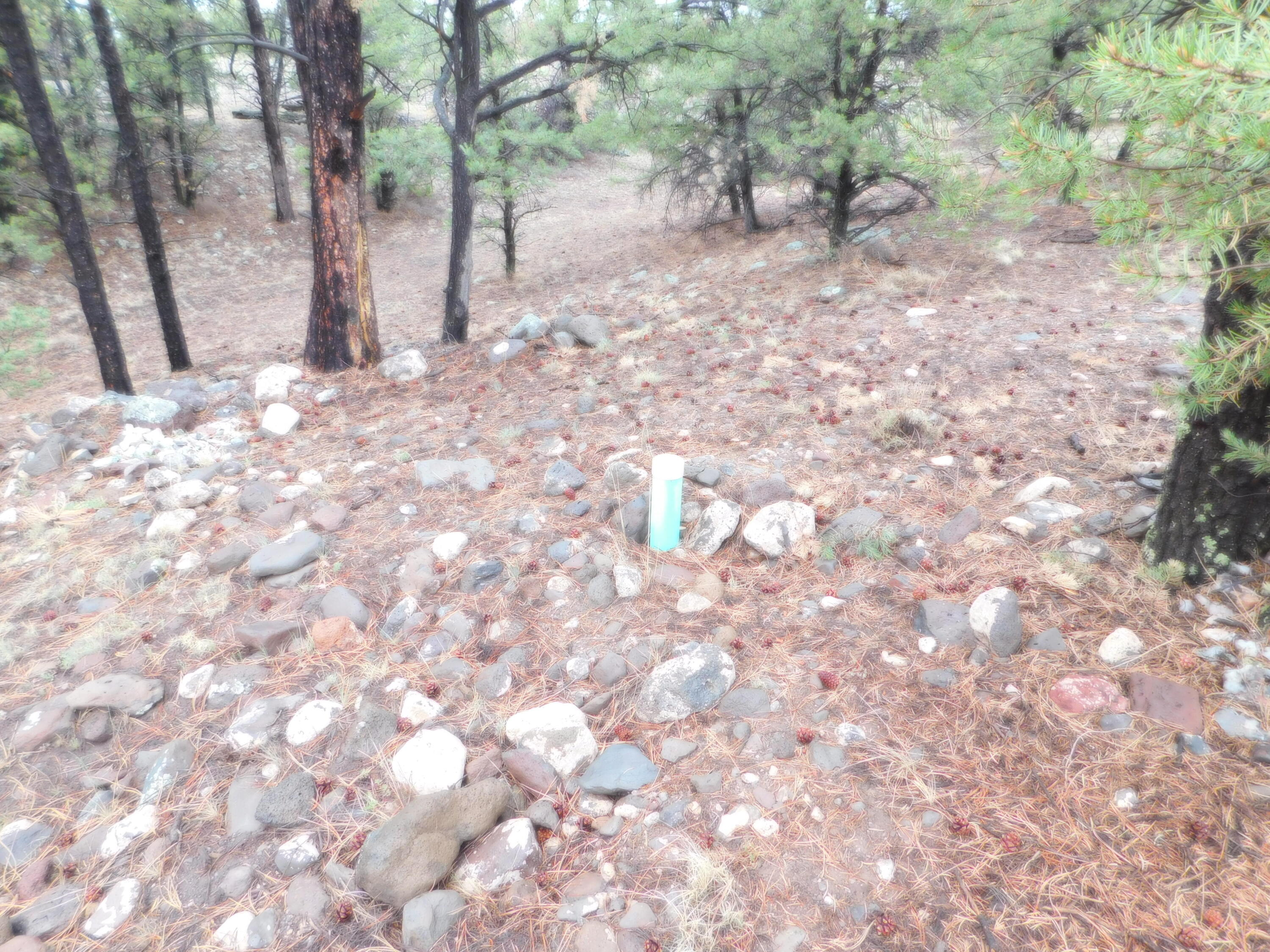 Photo 2 — 154 El Caso Road