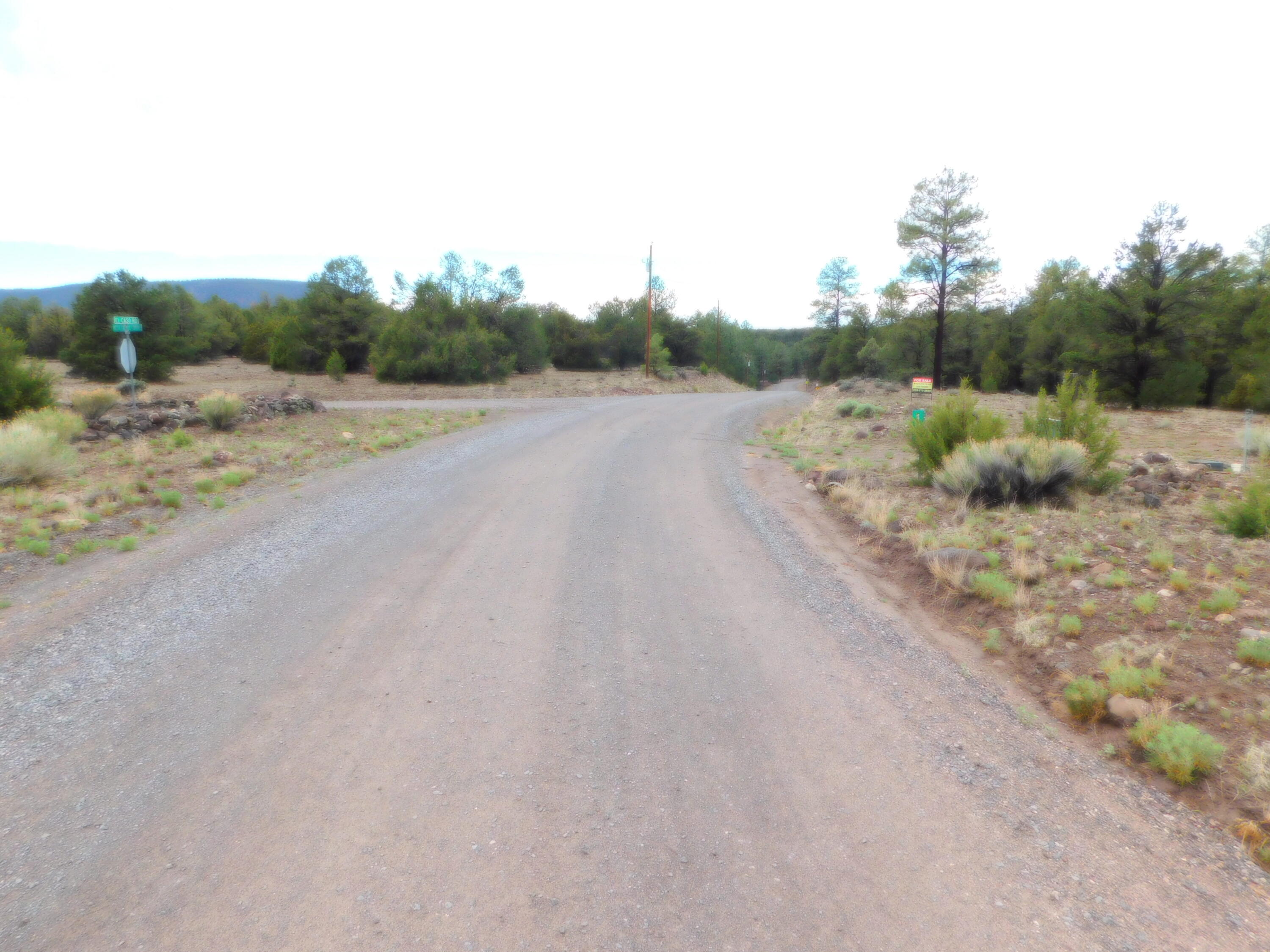 Photo 4 — 154 El Caso Road