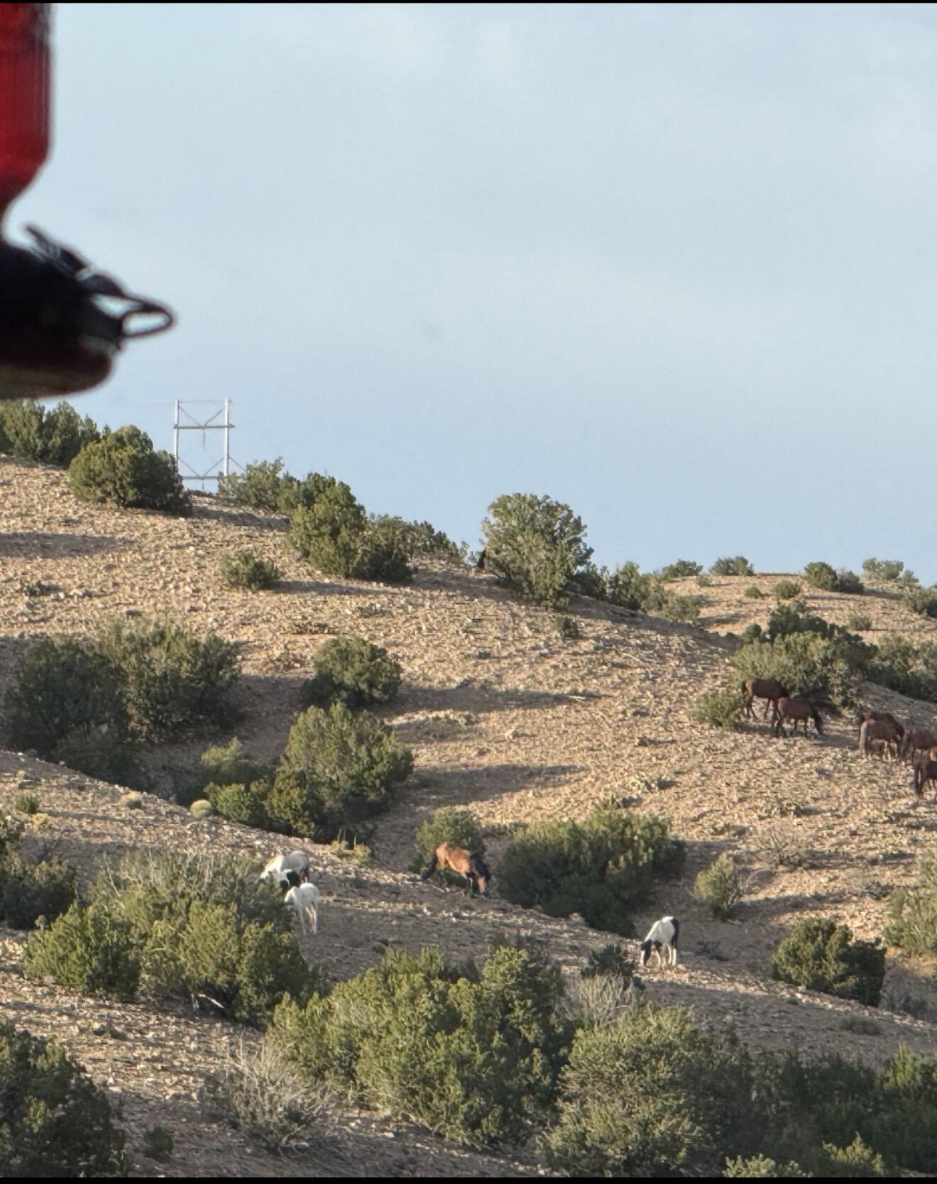 Photo 3 — 11 Tres Amigos Road