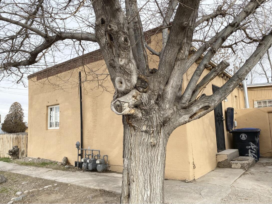 Photo 2 — 426 Headingly Avenue NW B