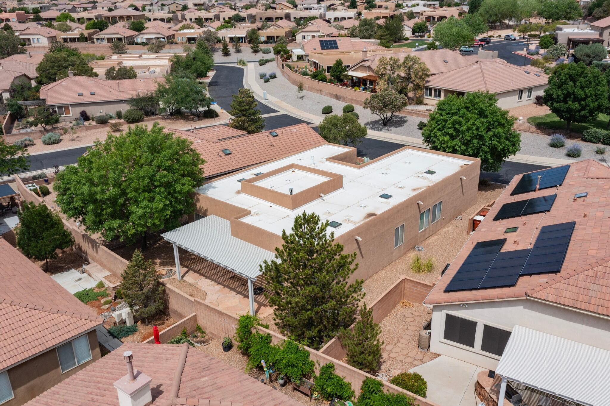 Photo 8 — 910 Mountain Phlox Way