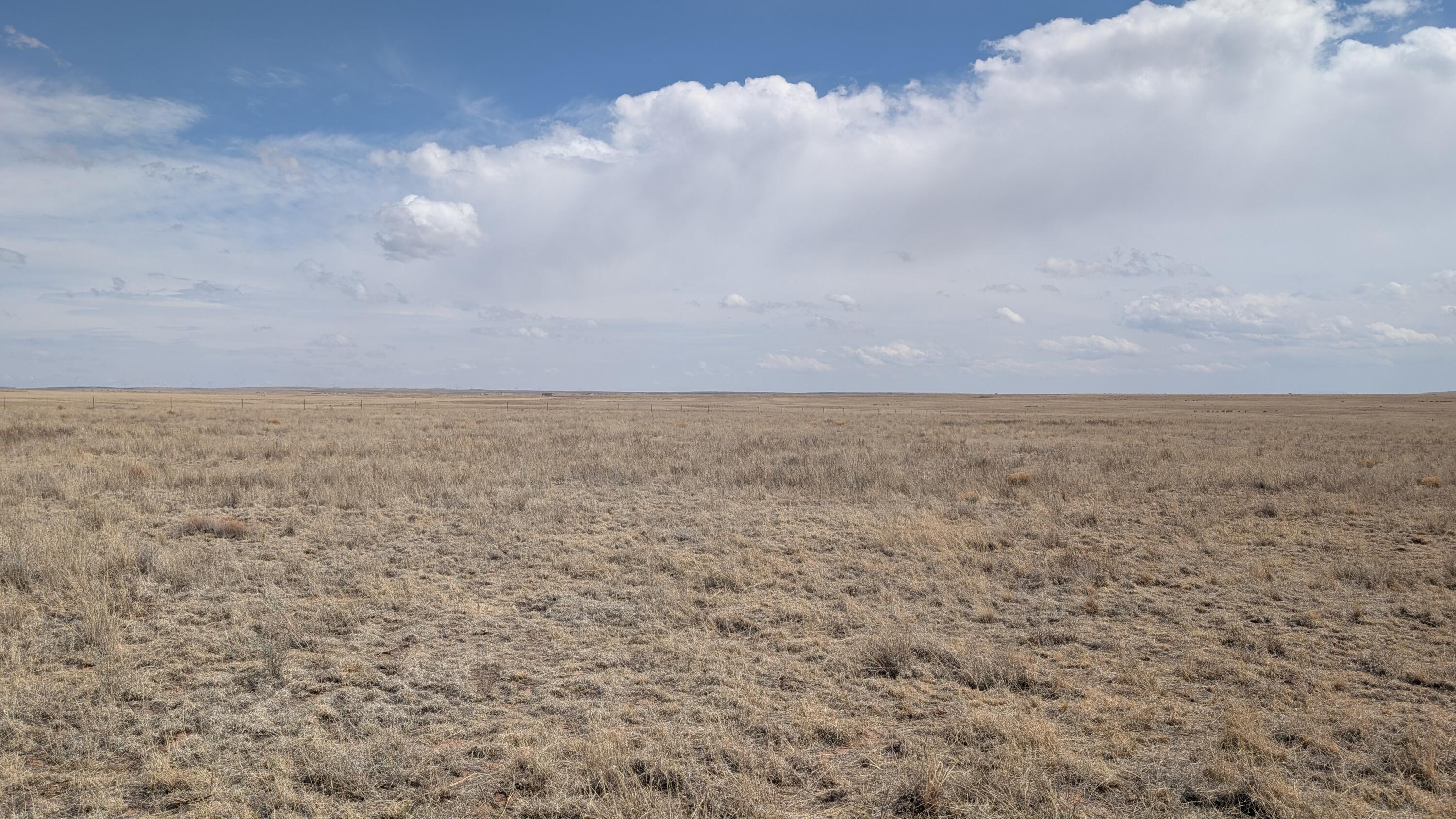 Photo 3 —  Lot 16 Lobo Acres