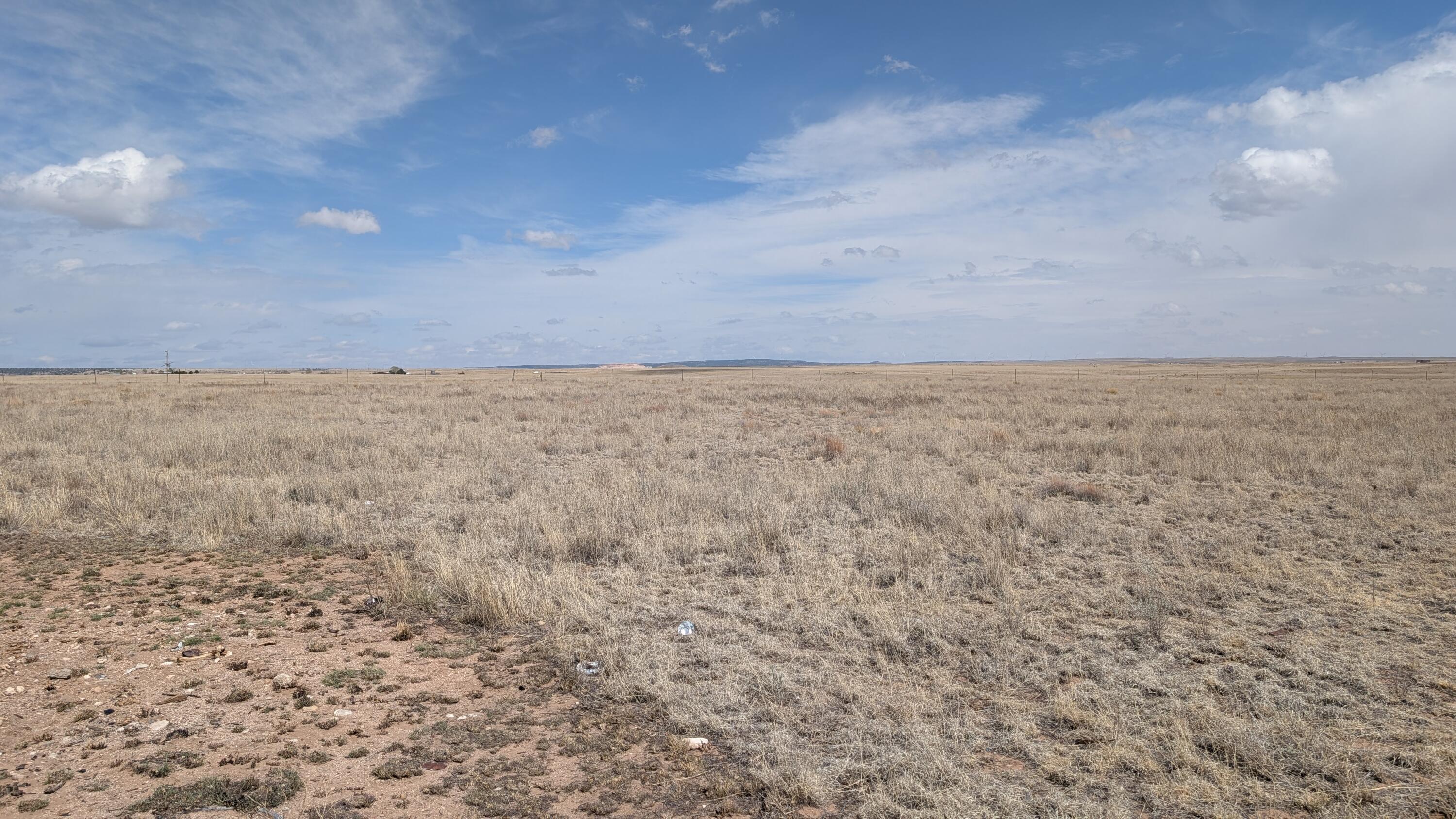 Photo 7 —  Lot 9 Lobo Acres
