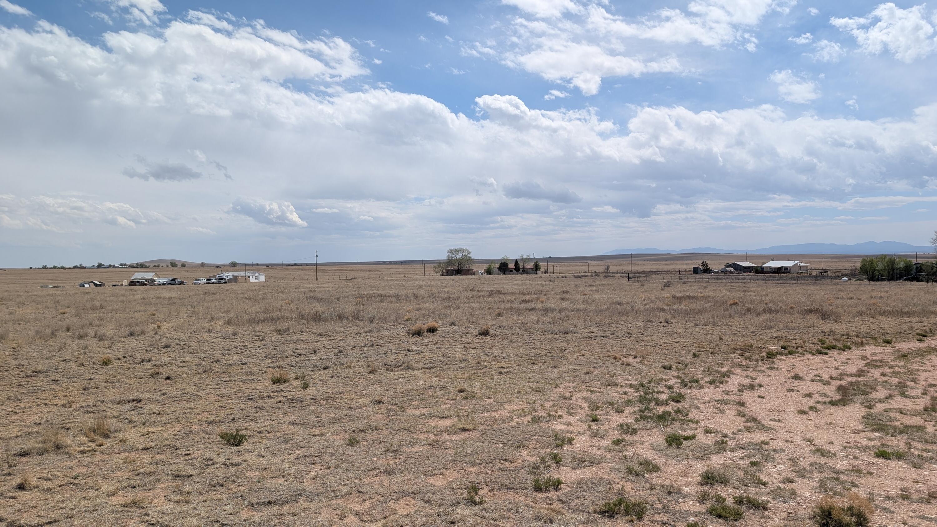 Photo 6 —  Lot 9 Lobo Acres