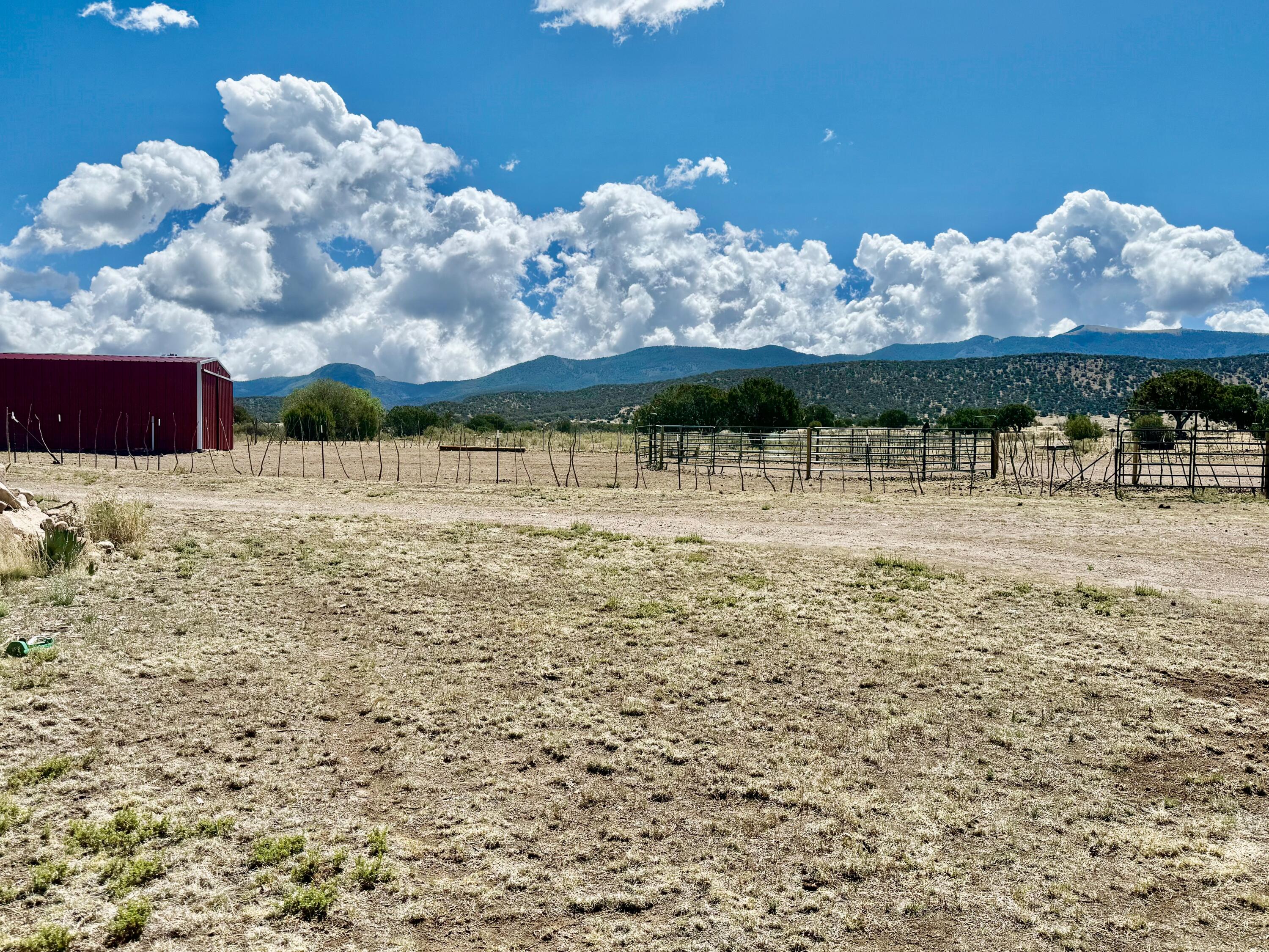Photo 19 — 132 Dark Canyon Road