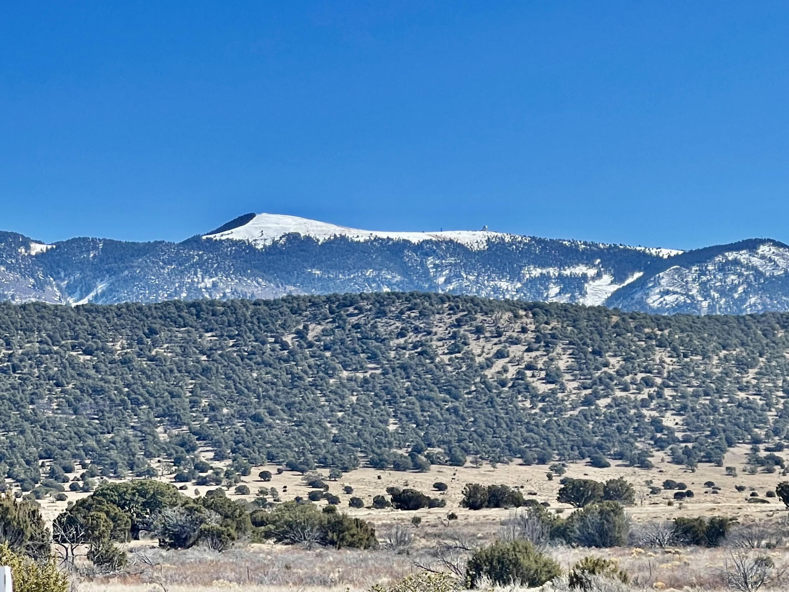 Photo 16 — 132 Dark Canyon Road