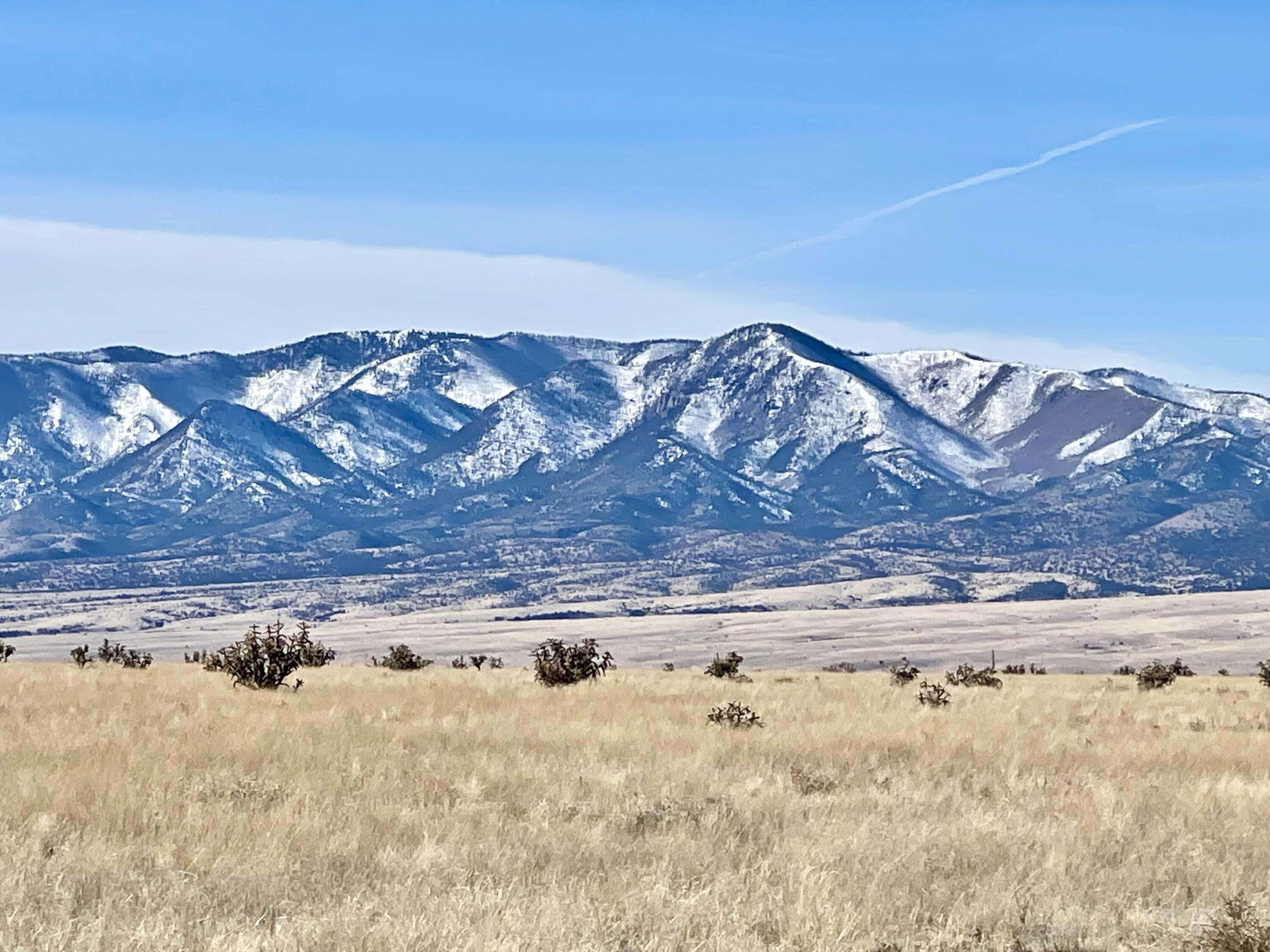 Photo 14 — 132 Dark Canyon Road
