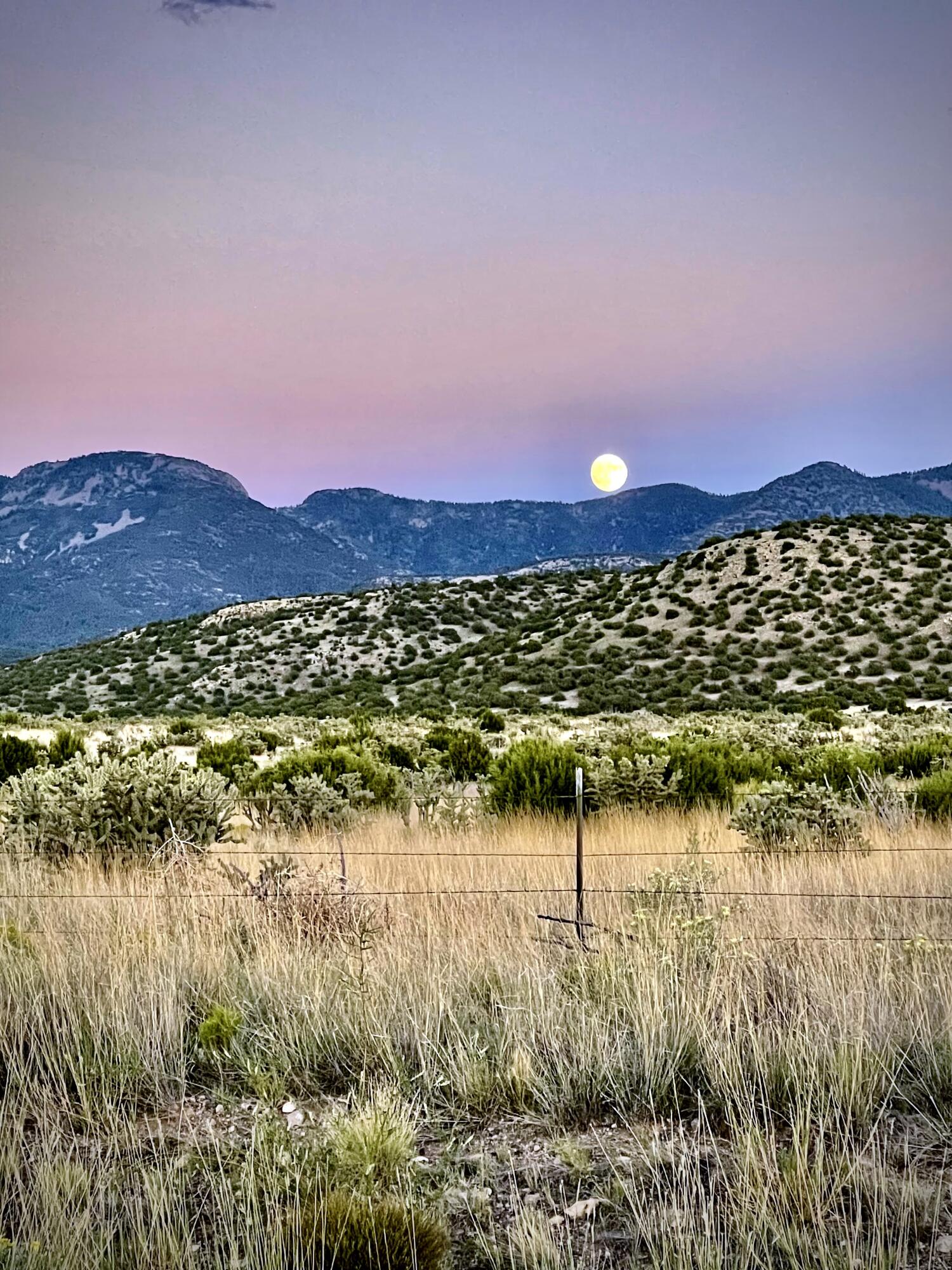 Photo 11 — 132 Dark Canyon Road