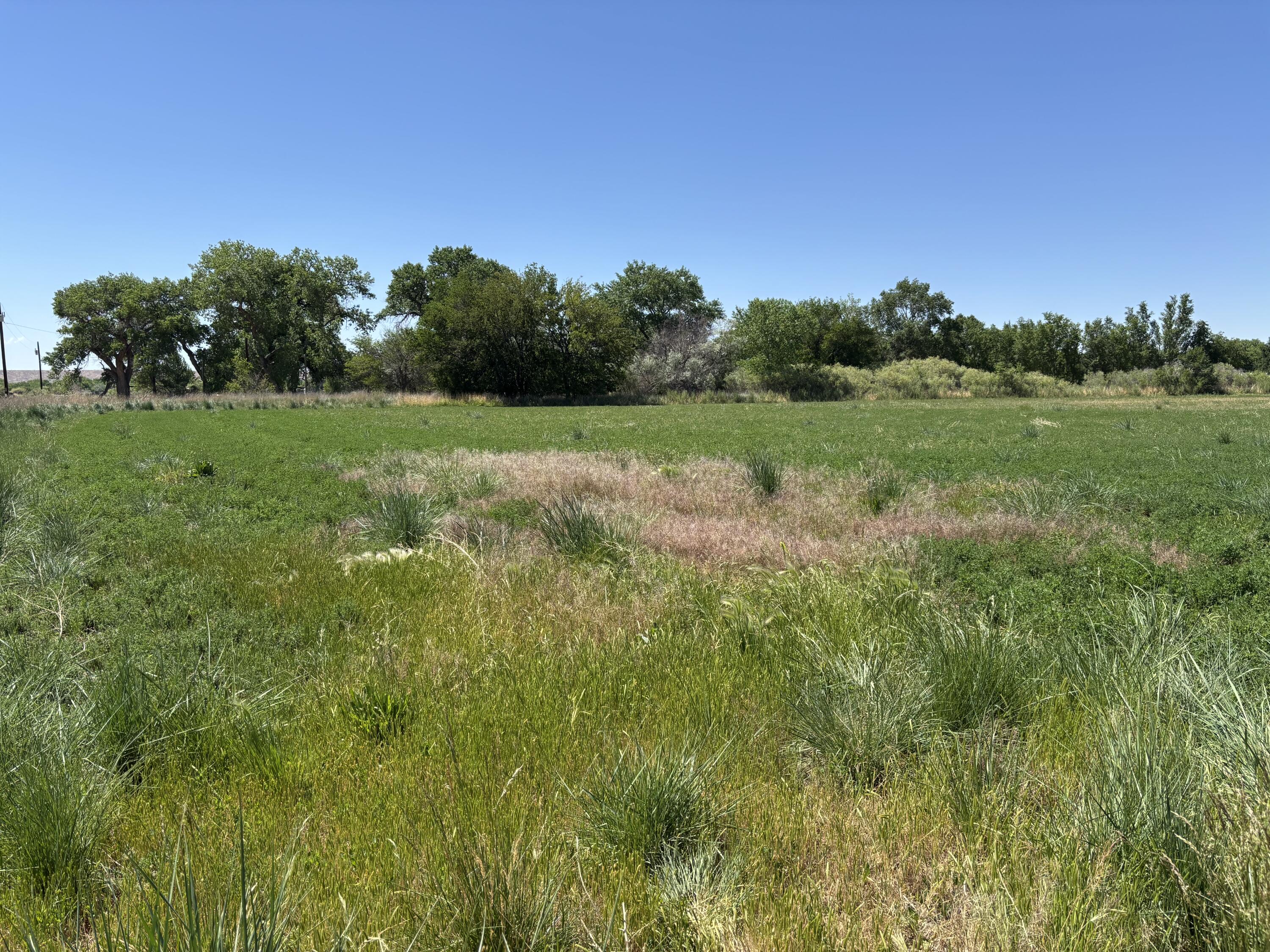 Photo 13 — 14 Off Melecio Lane