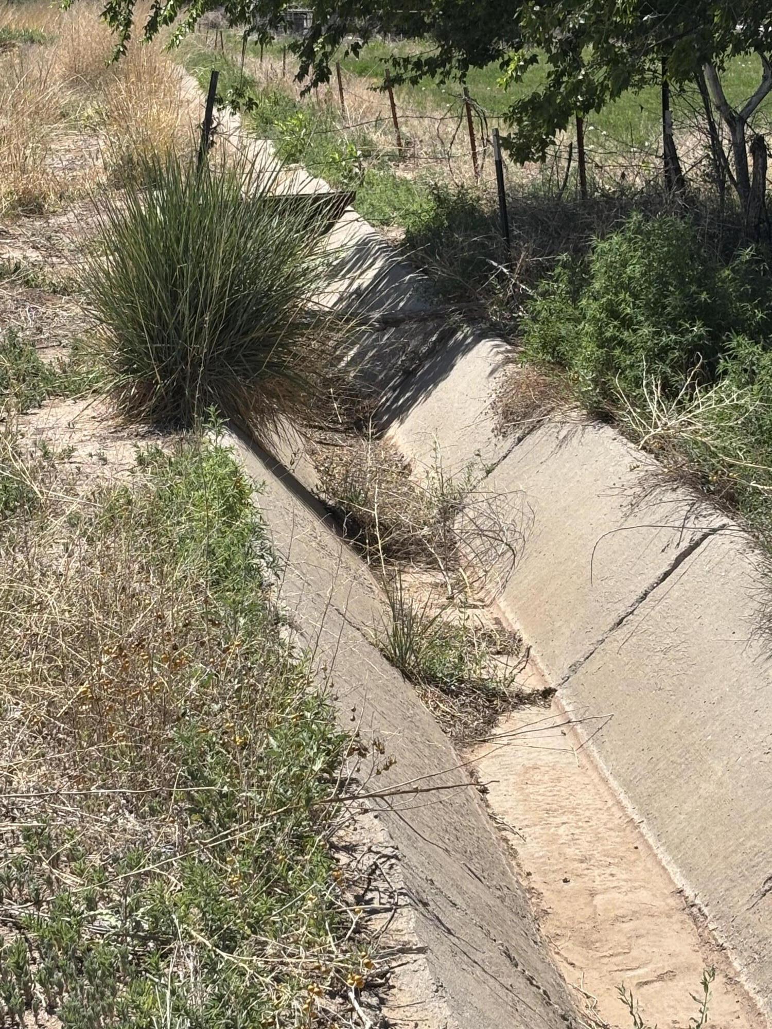 Photo 7 — 14 Off Melecio Lane