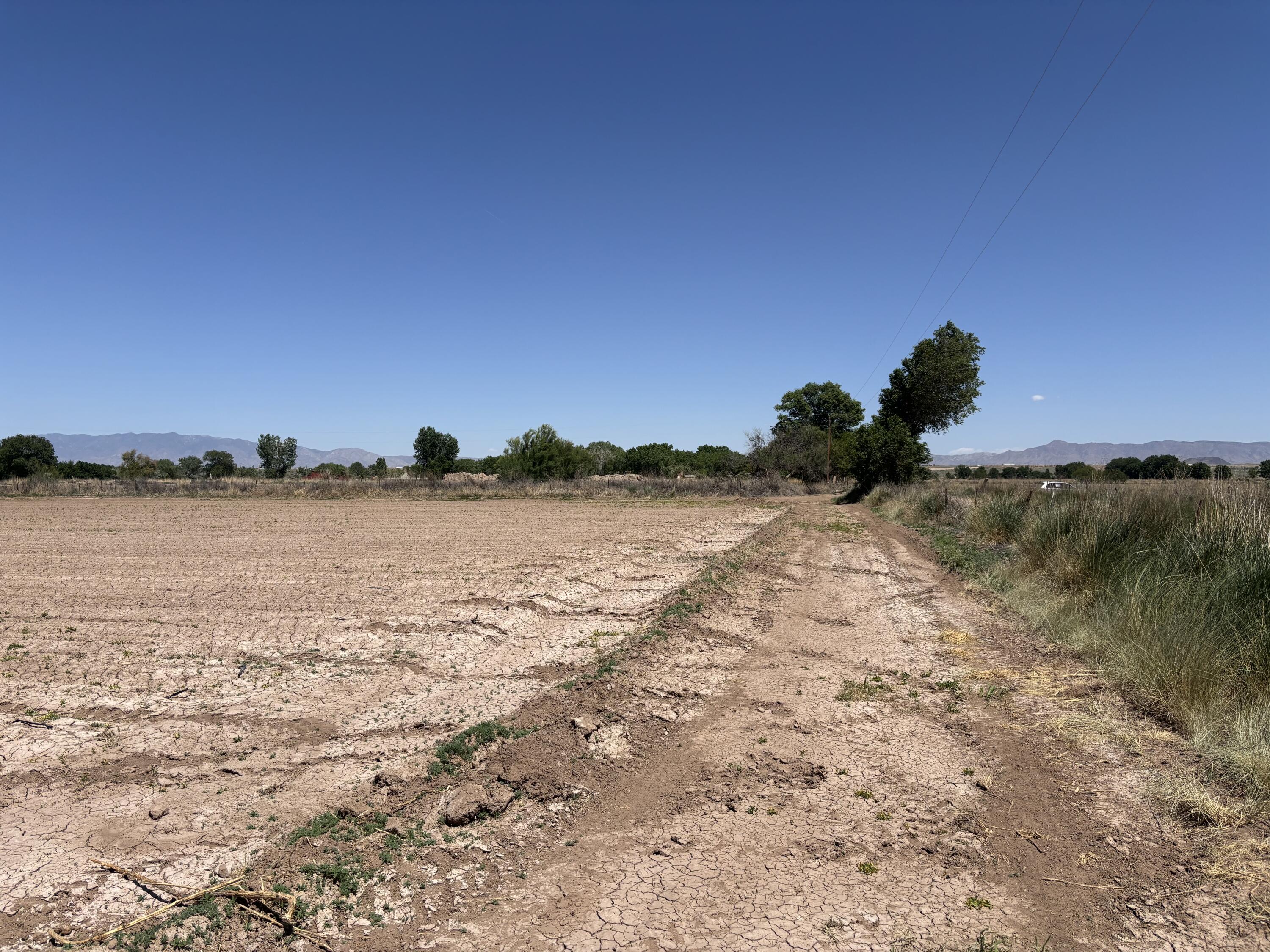 Photo 5 — 14 Off Melecio Lane