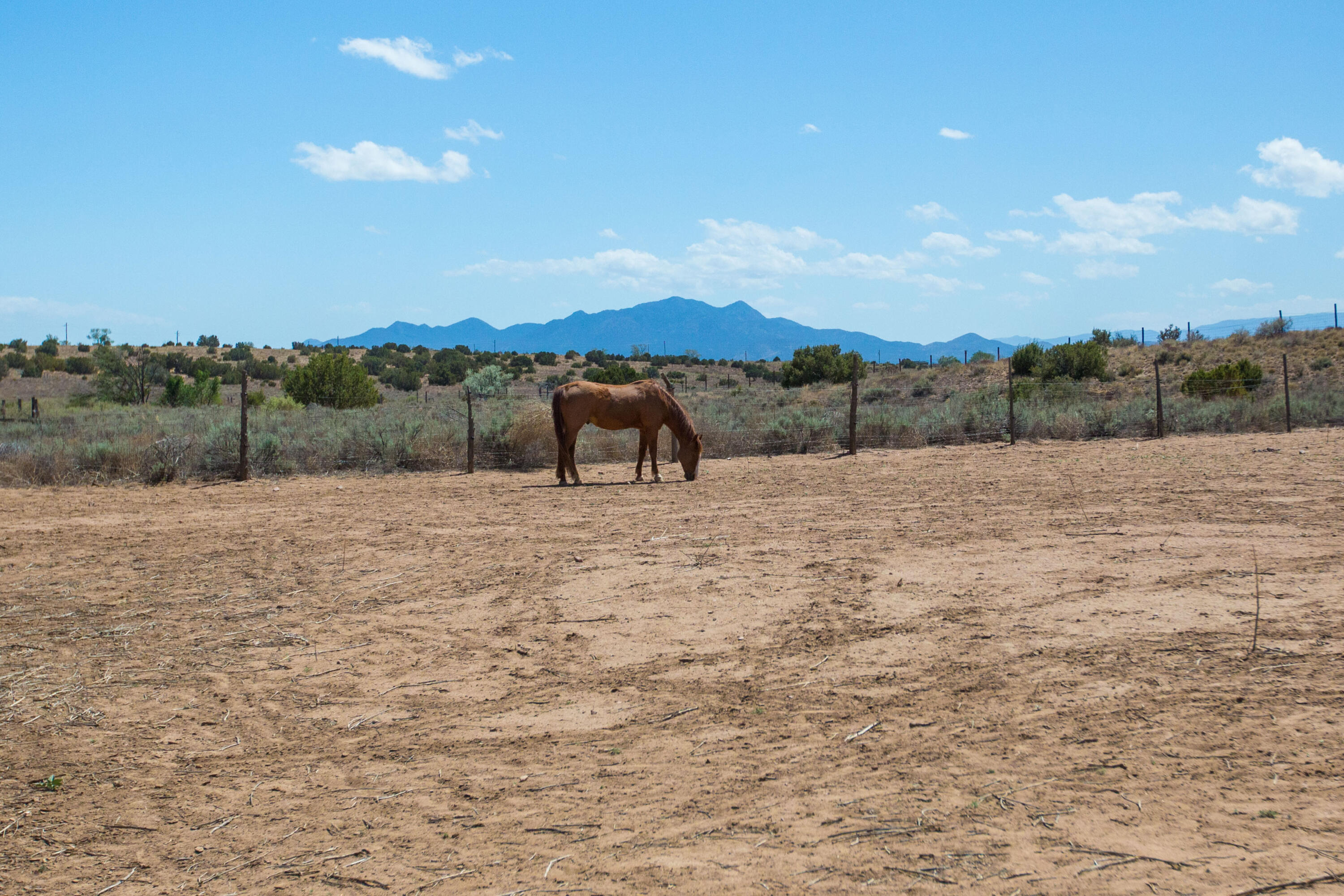 Photo 17 — 12 Arroyo Trail