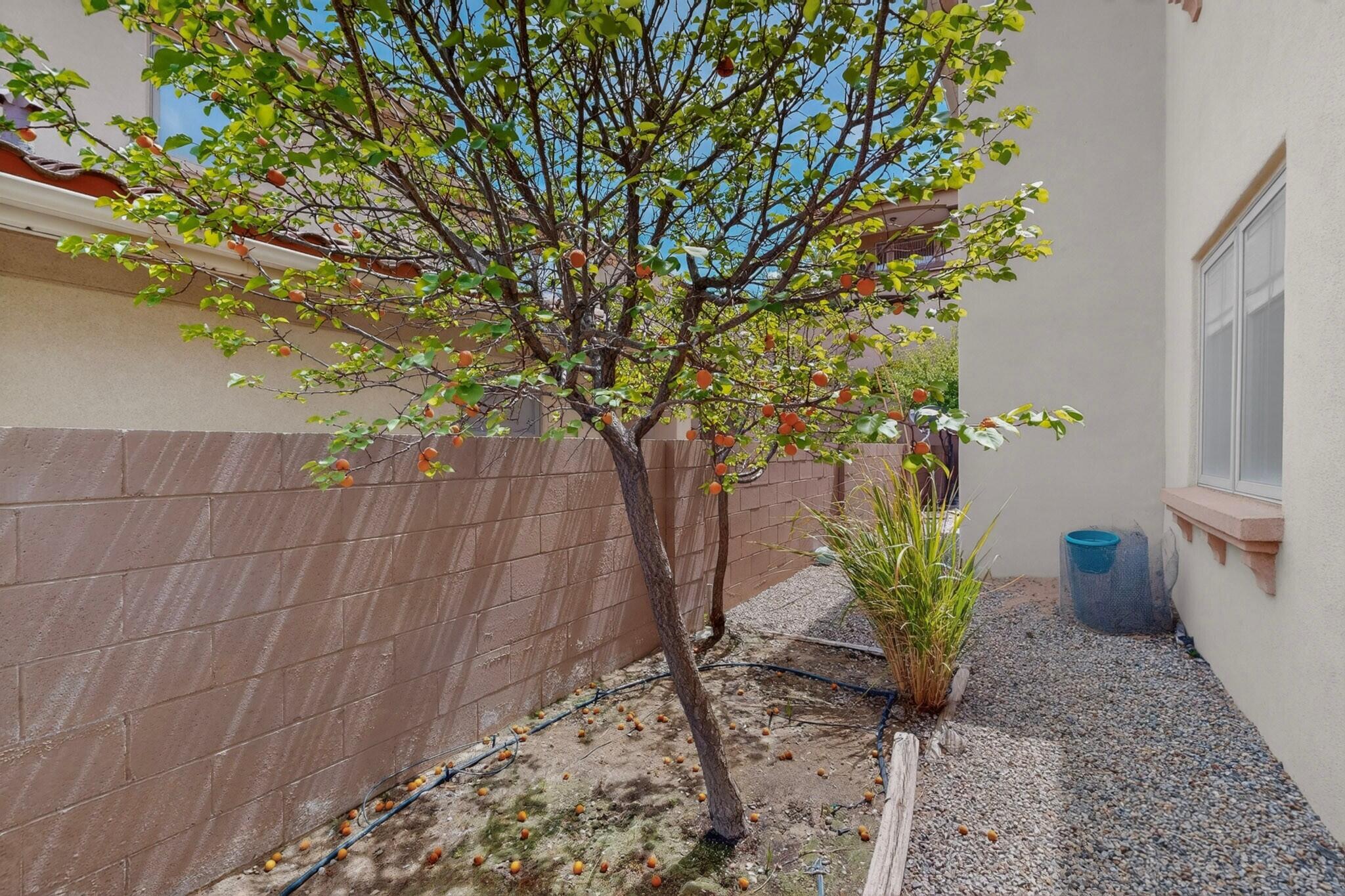 Photo 6 — 4505 Atherton Way NW