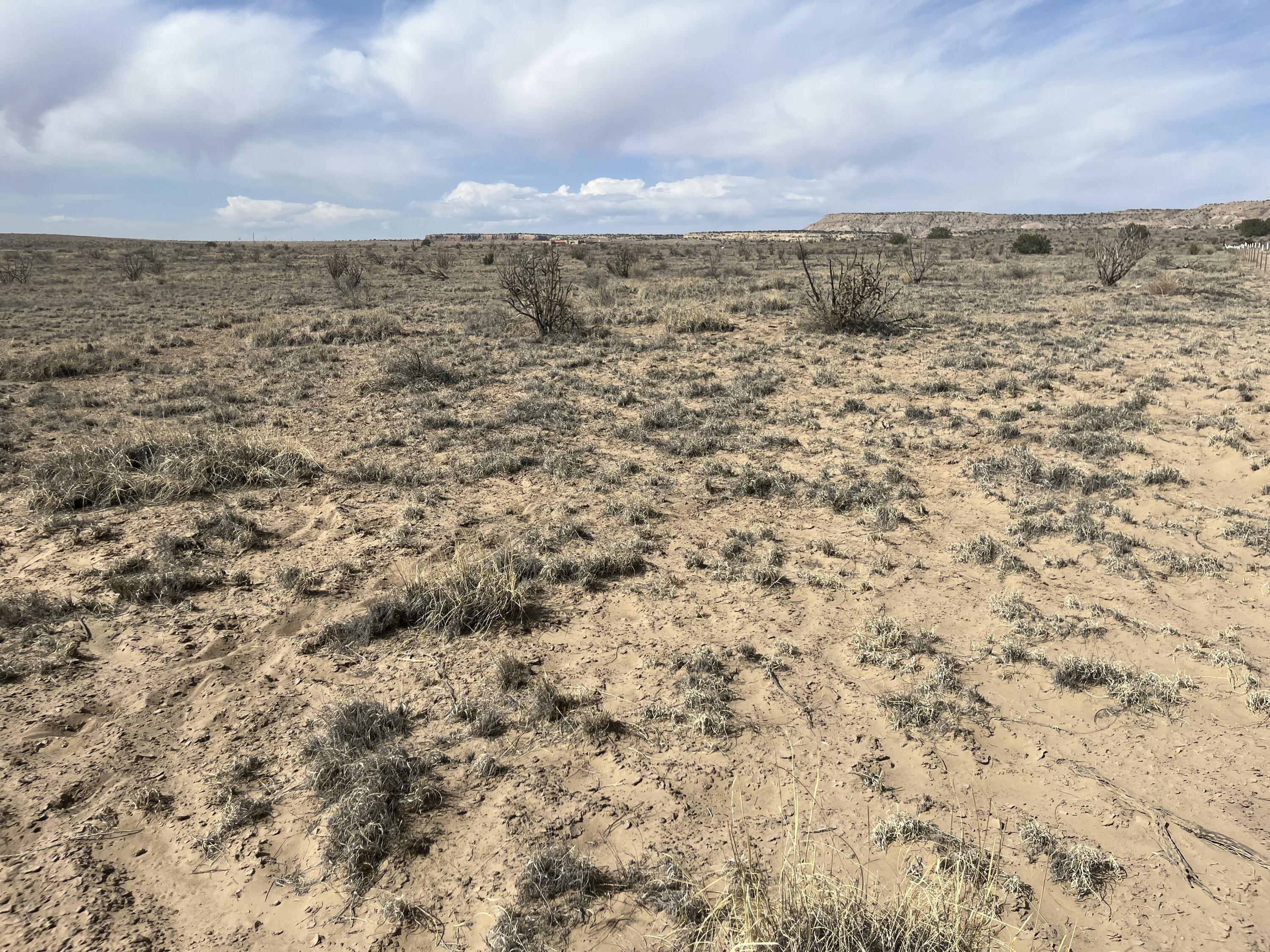 Photo 2 — 2230-2236 Apachita Way