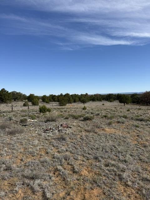 Photo 11 — 113 Rockhouse Road