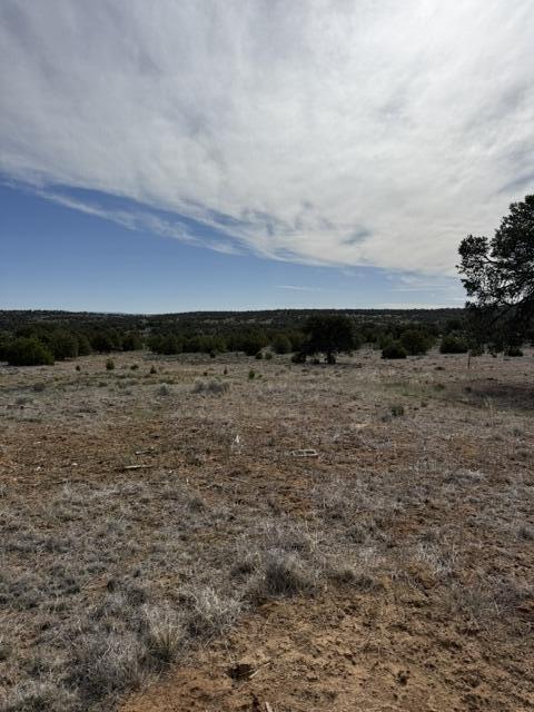 Photo 10 — 113 Rockhouse Road