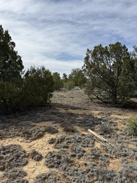Photo 4 — 113 Rockhouse Road