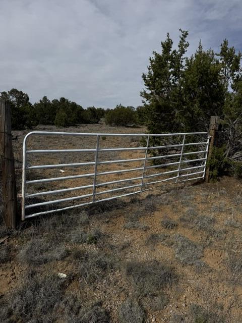 Photo 20 — 113 Rockhouse Road