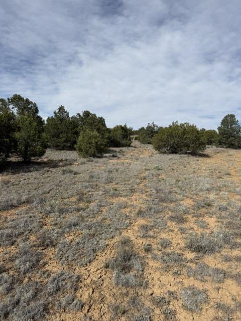 Photo 2 — 113 Rockhouse Road