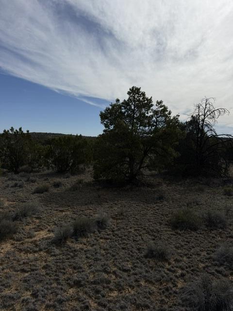 Photo 18 — 113 Rockhouse Road