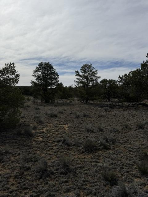 Photo 16 — 113 Rockhouse Road