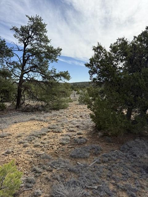 Photo 15 — 113 Rockhouse Road