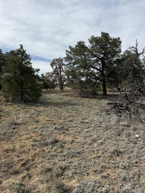 Photo 14 — 113 Rockhouse Road