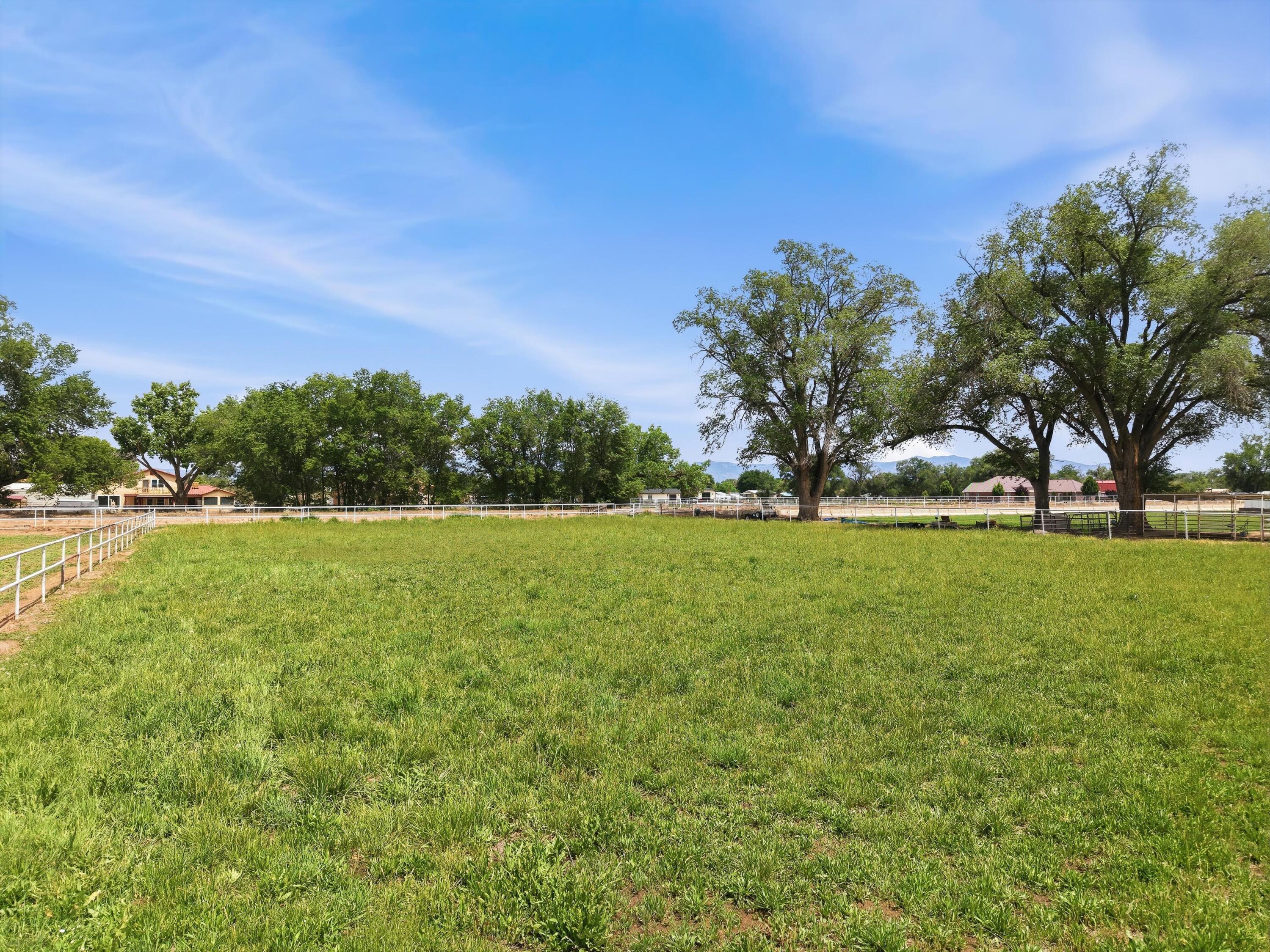 Photo 6 — 1600 W Bosque Loop